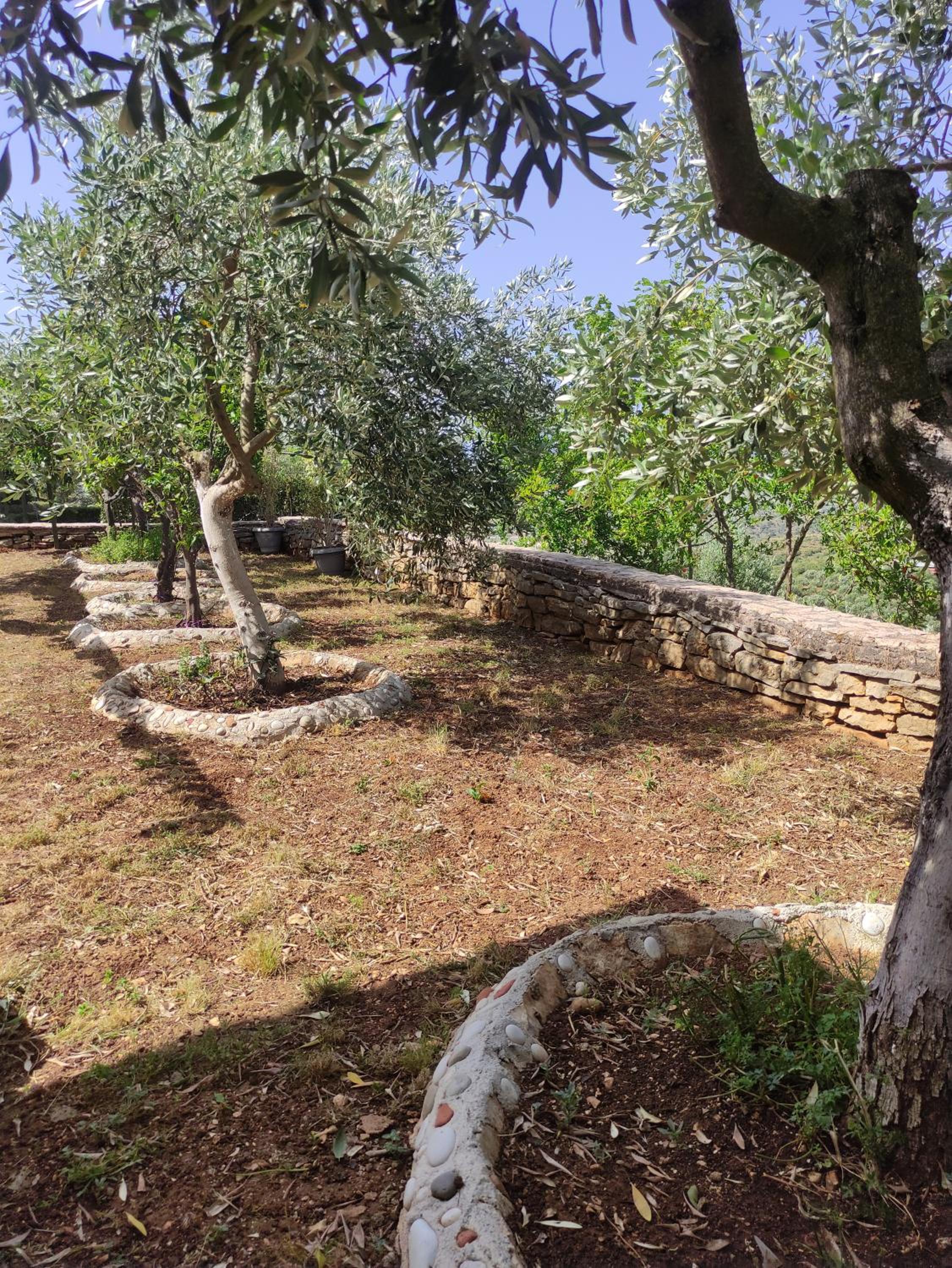 Villa Mitsi Sarande