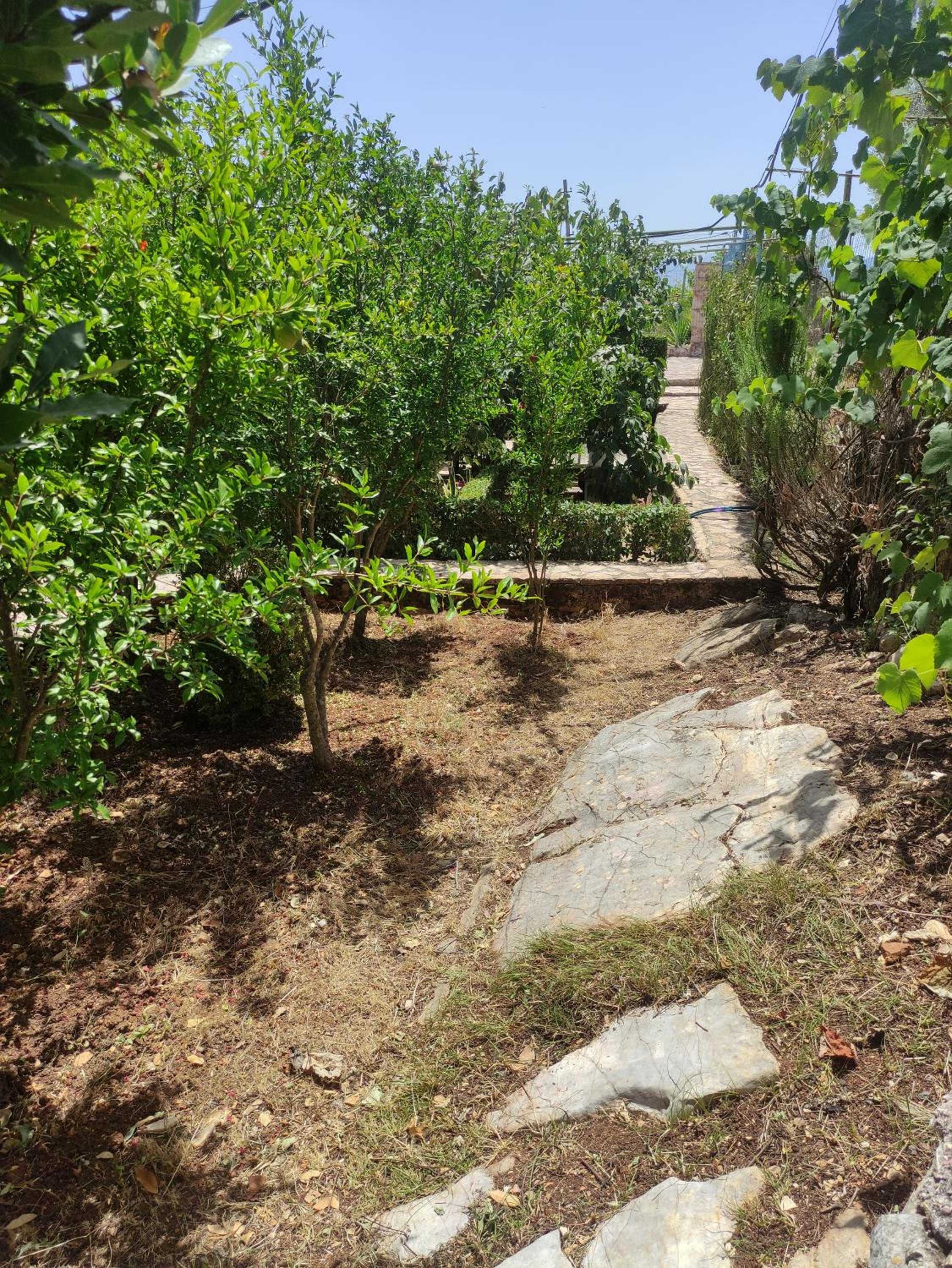 Villa Mitsi Sarande