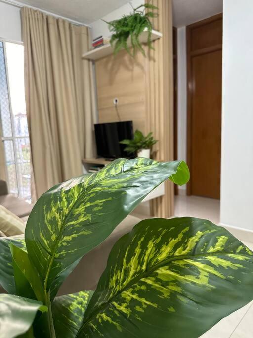 Apartamento completo em Manaus-AM
