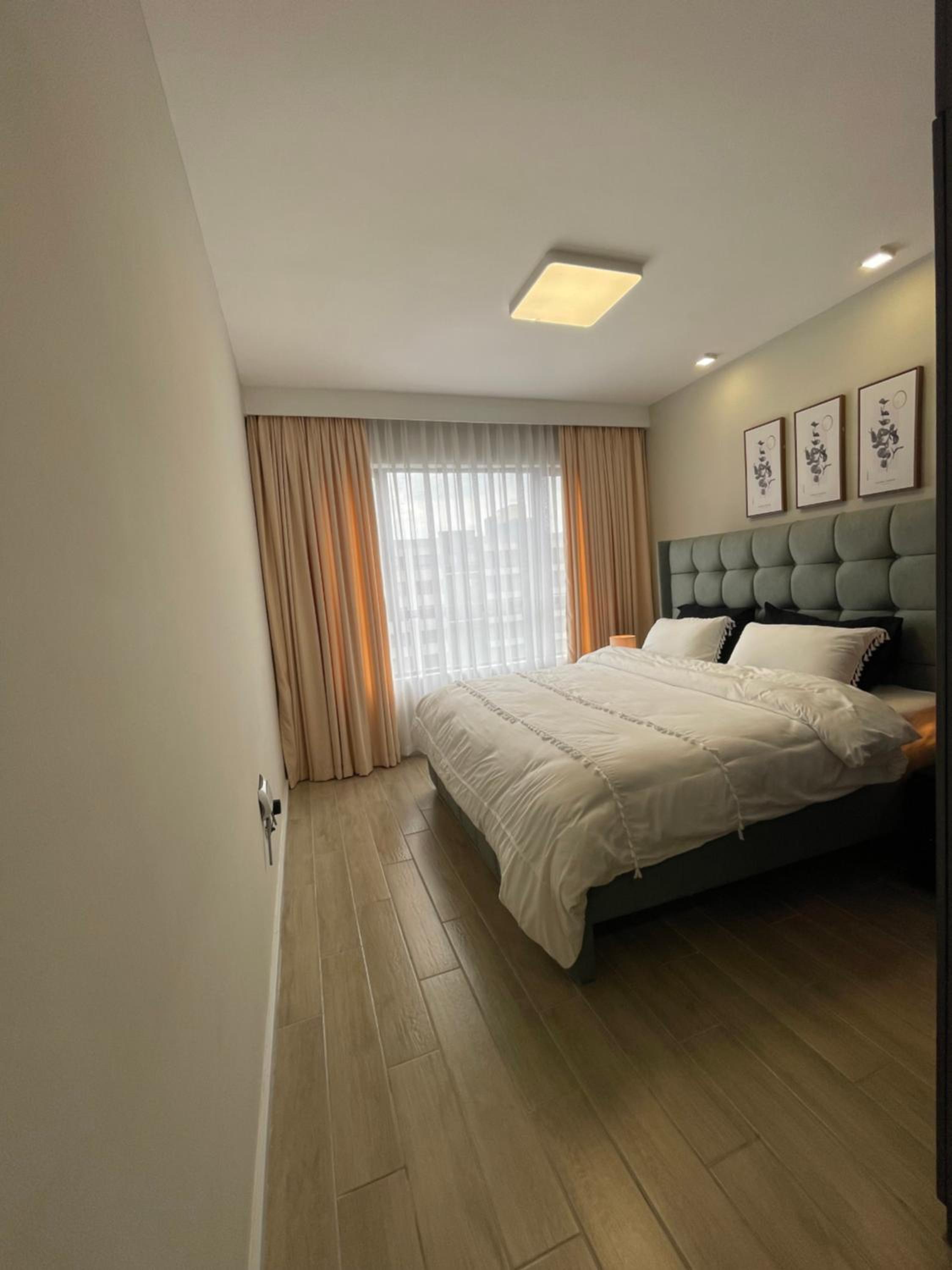Luxy homes