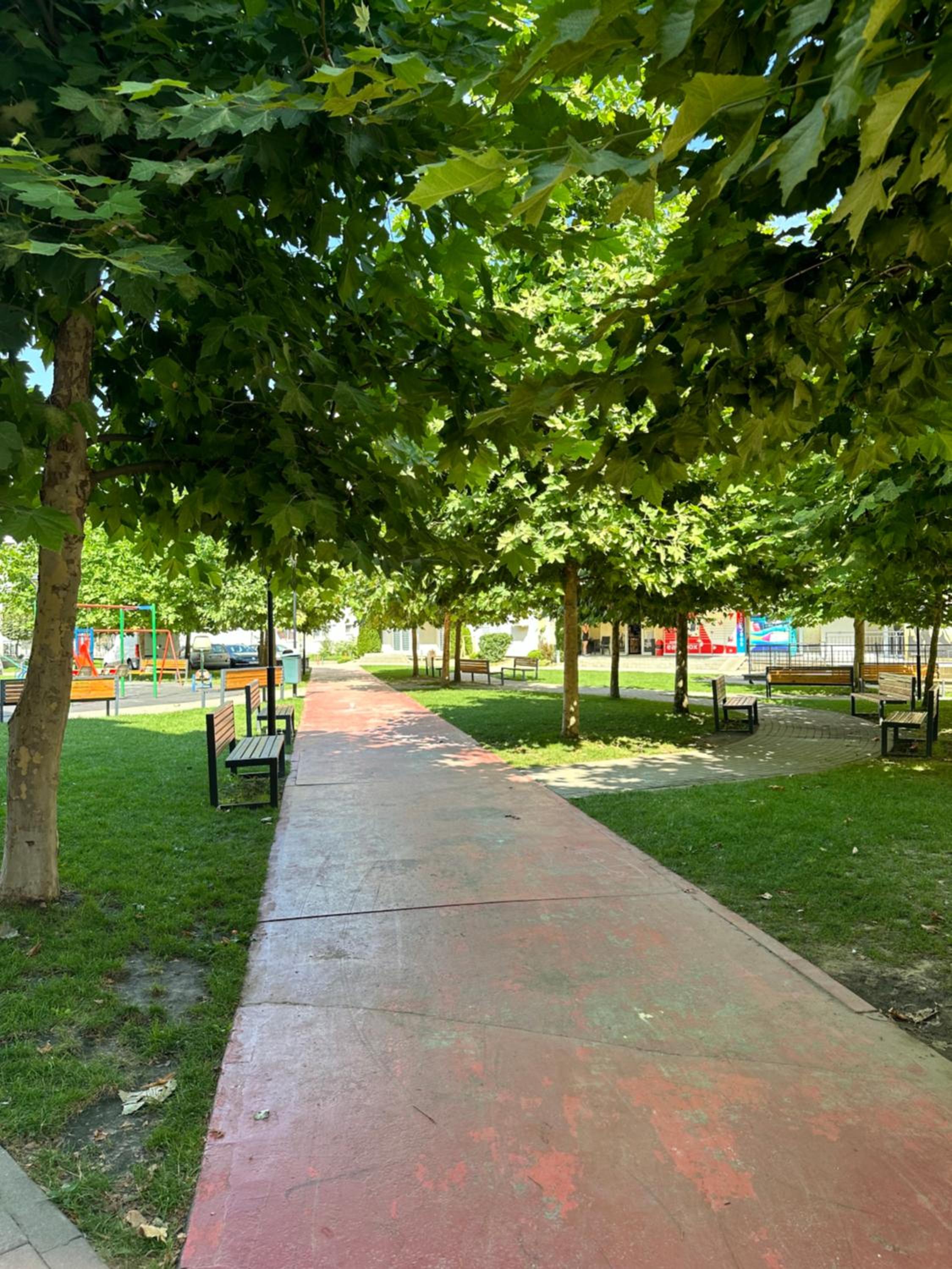 Photo 13