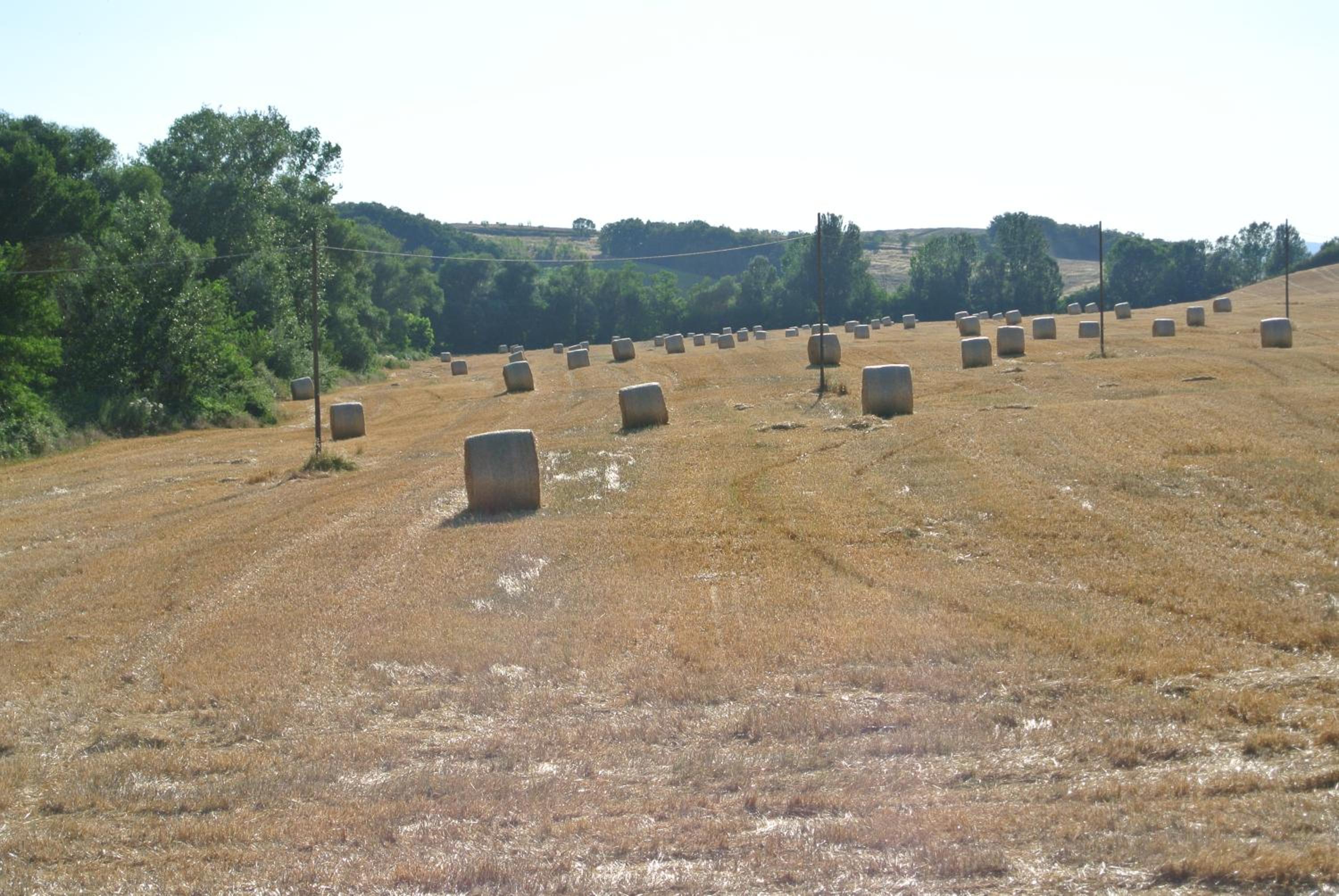 Le Logge di Caprera