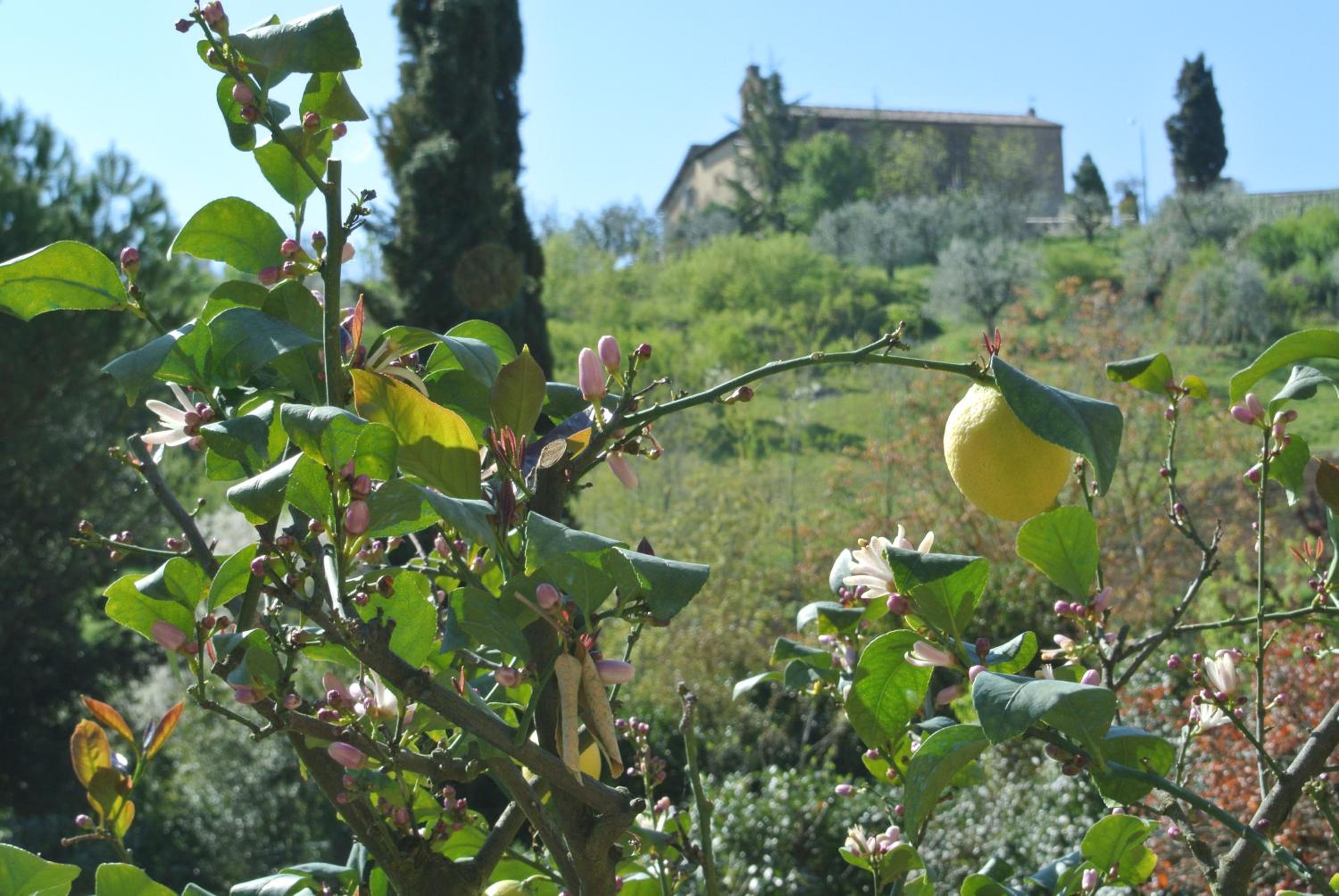 Le Logge di Caprera