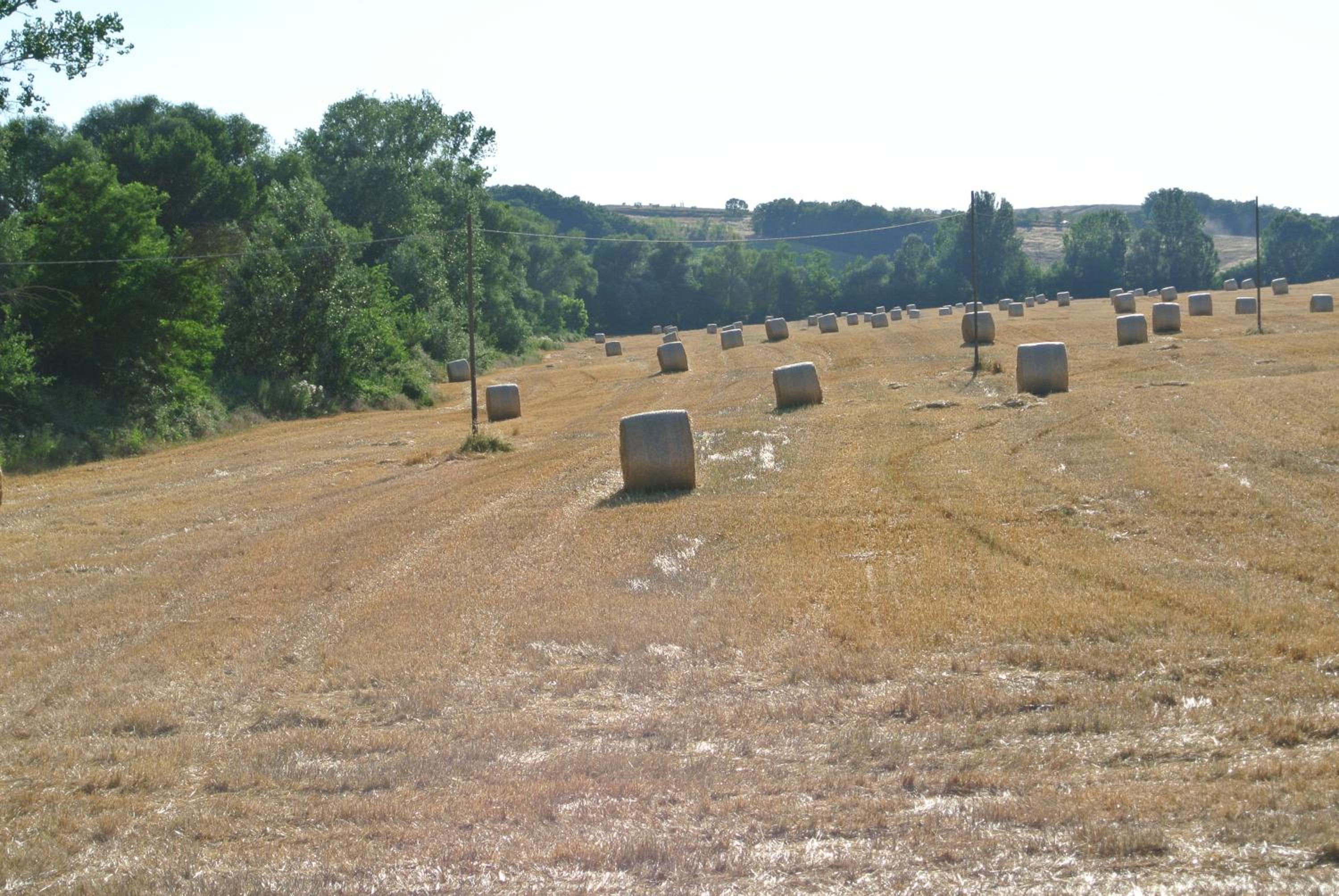 Le Logge di Caprera