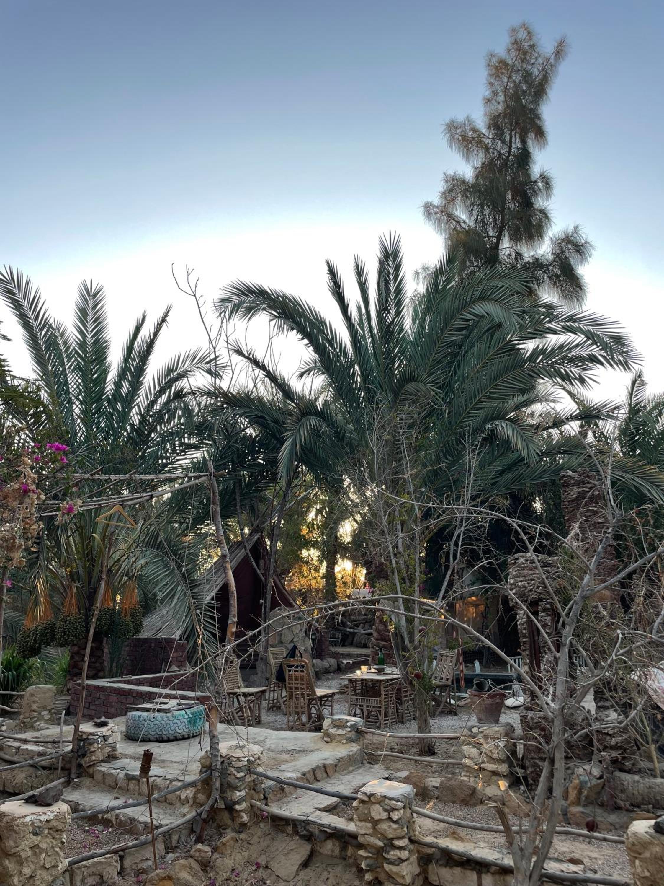 Shamofs art garden