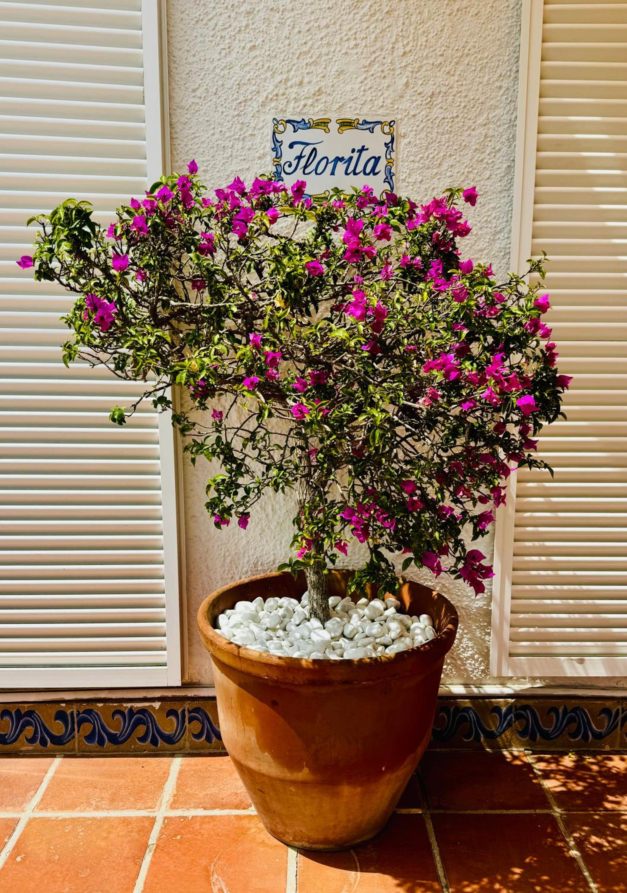 Casa Florita Great Located Beach Side in Marbella