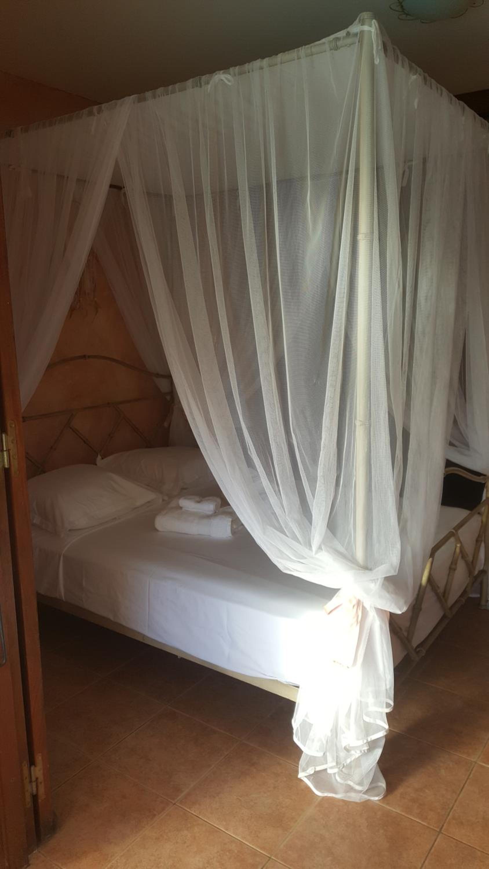 Agréable chambre indépendante avec sa SDB son carbet-cuisine et piscine view 2