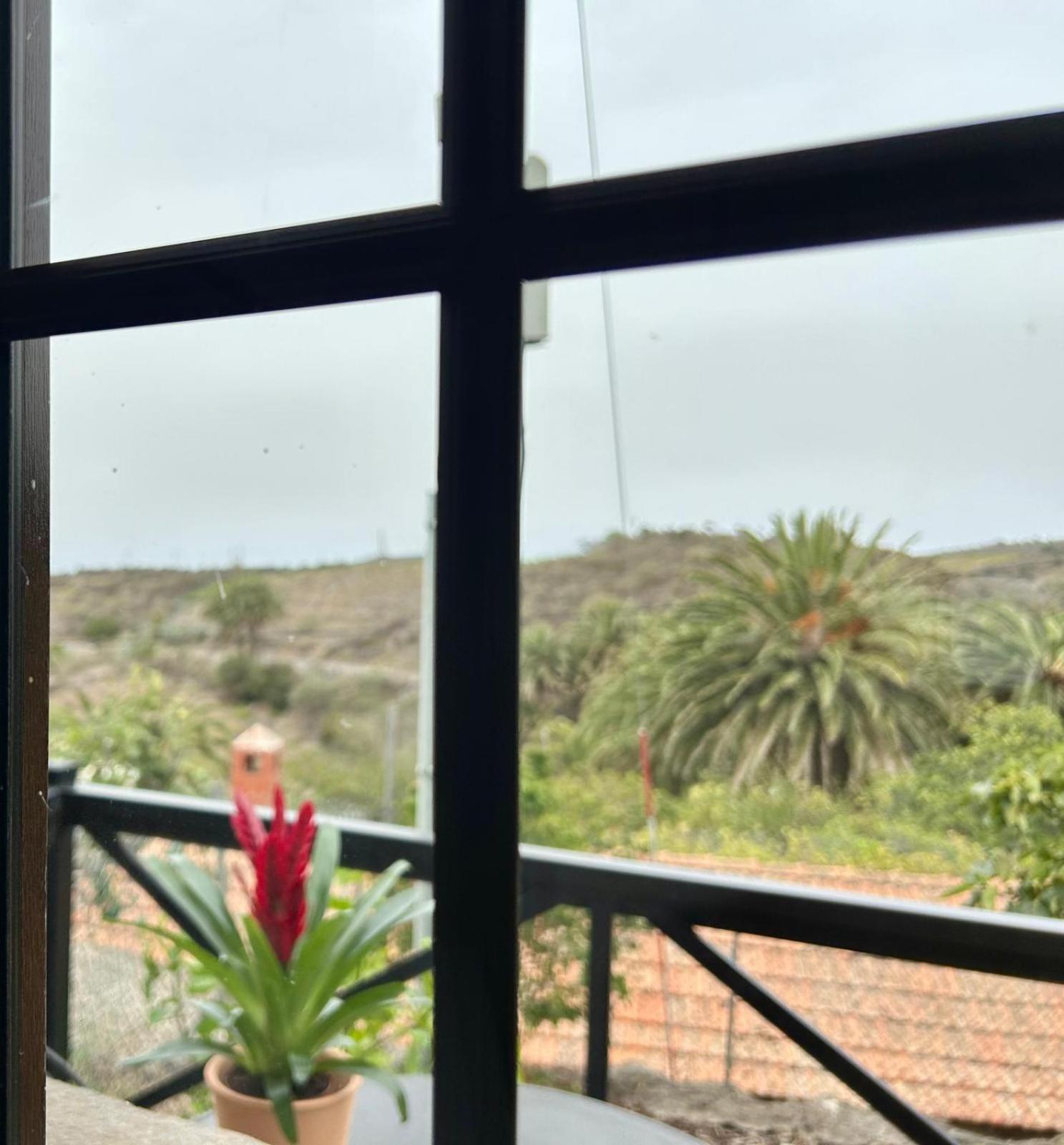 Jardin Las Hayas