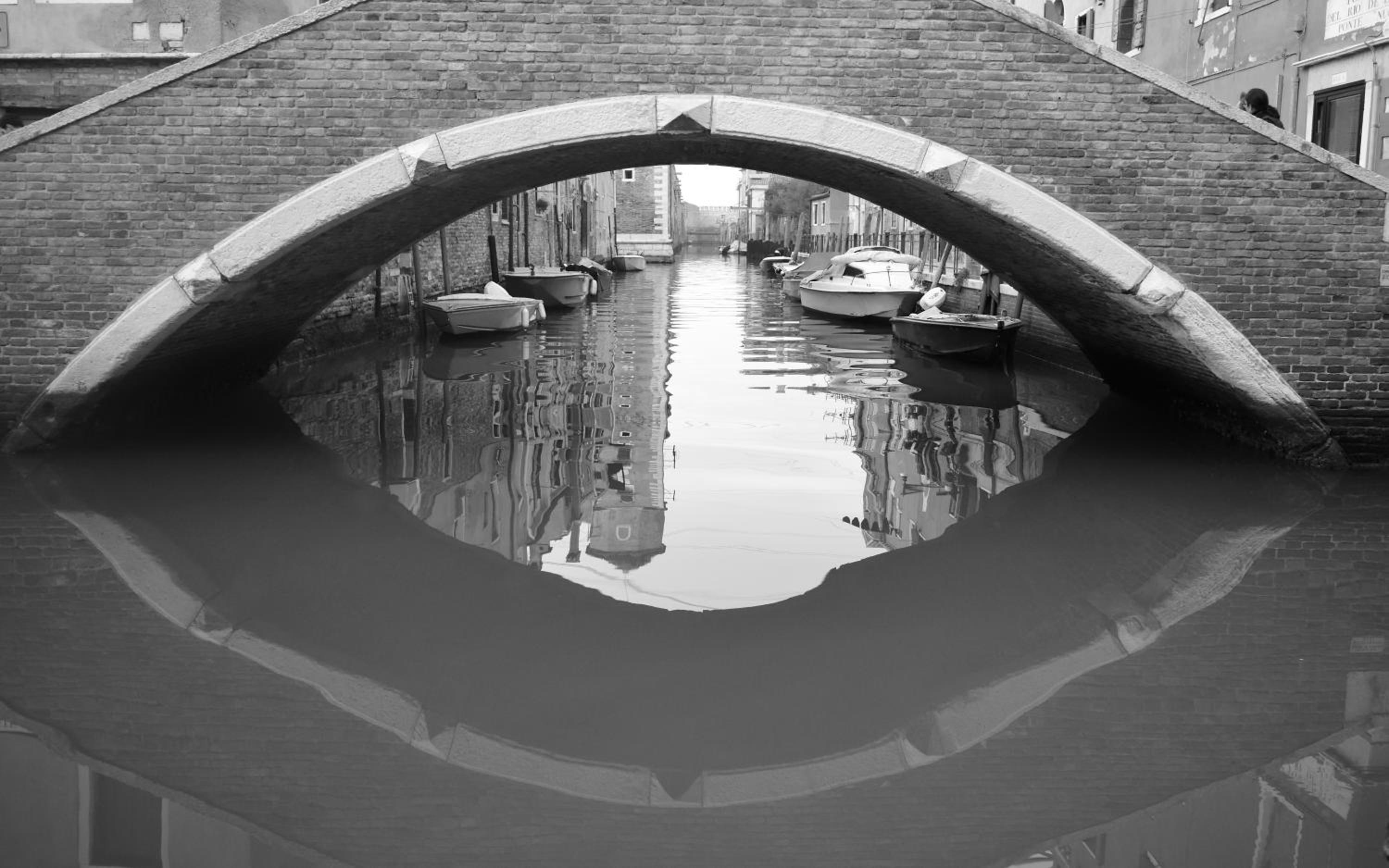 Biennale 252
