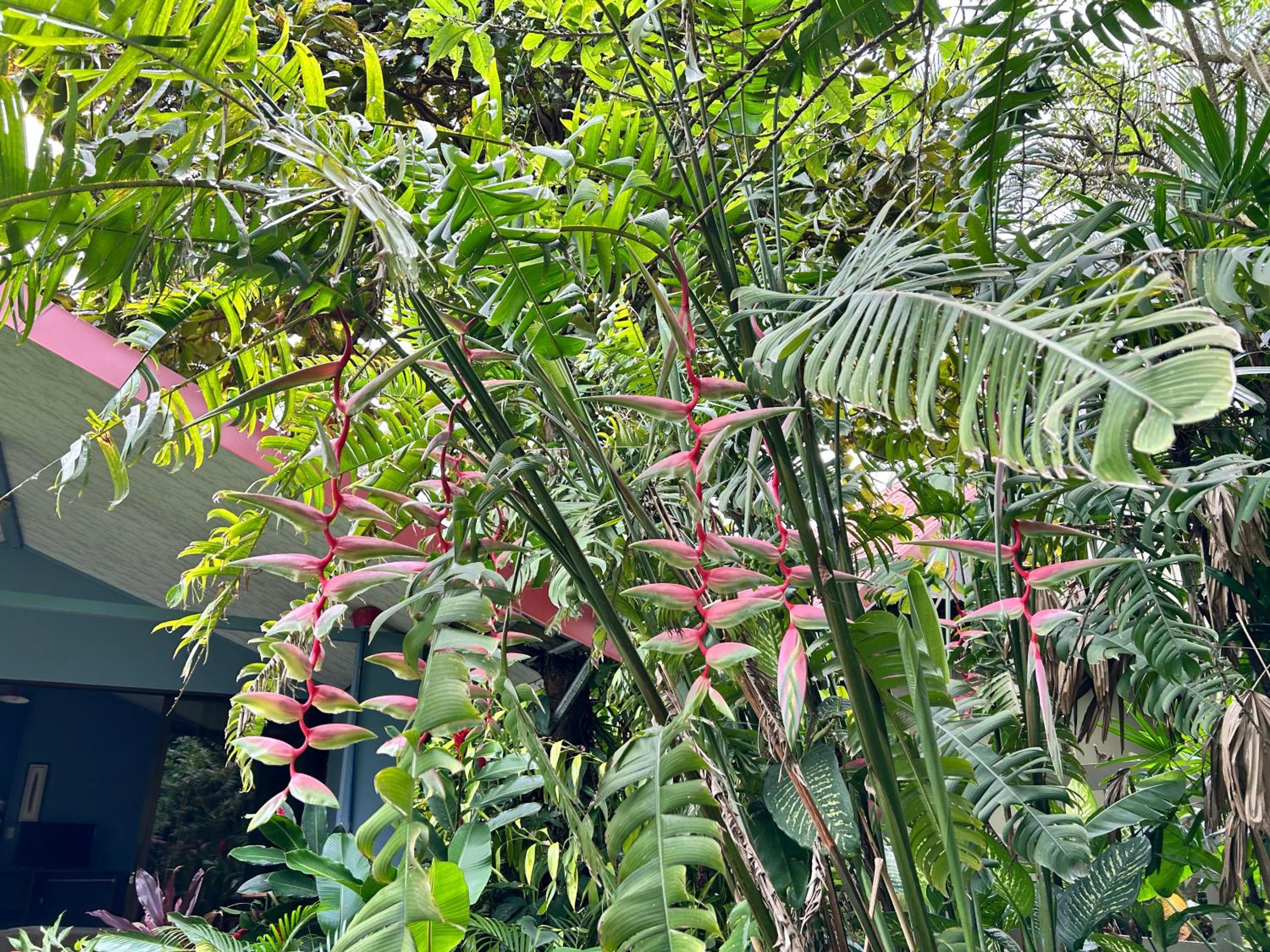 B&B Garden Grecia