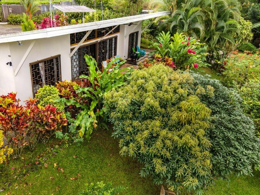 Volcano View Oasis Arenal