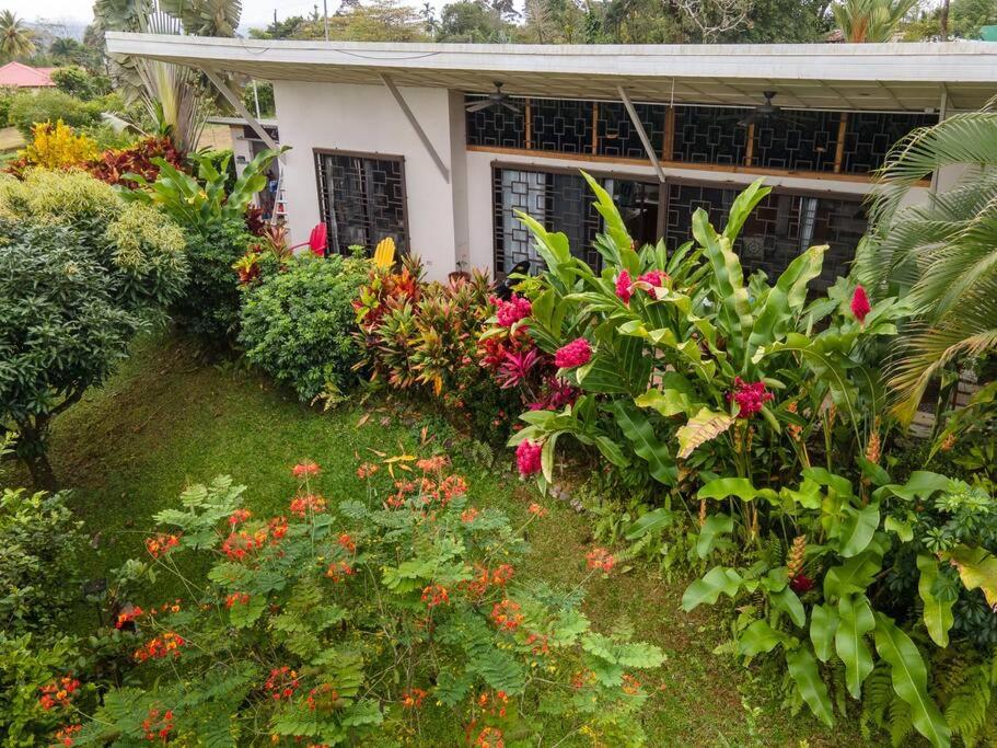 Volcano View Oasis Arenal