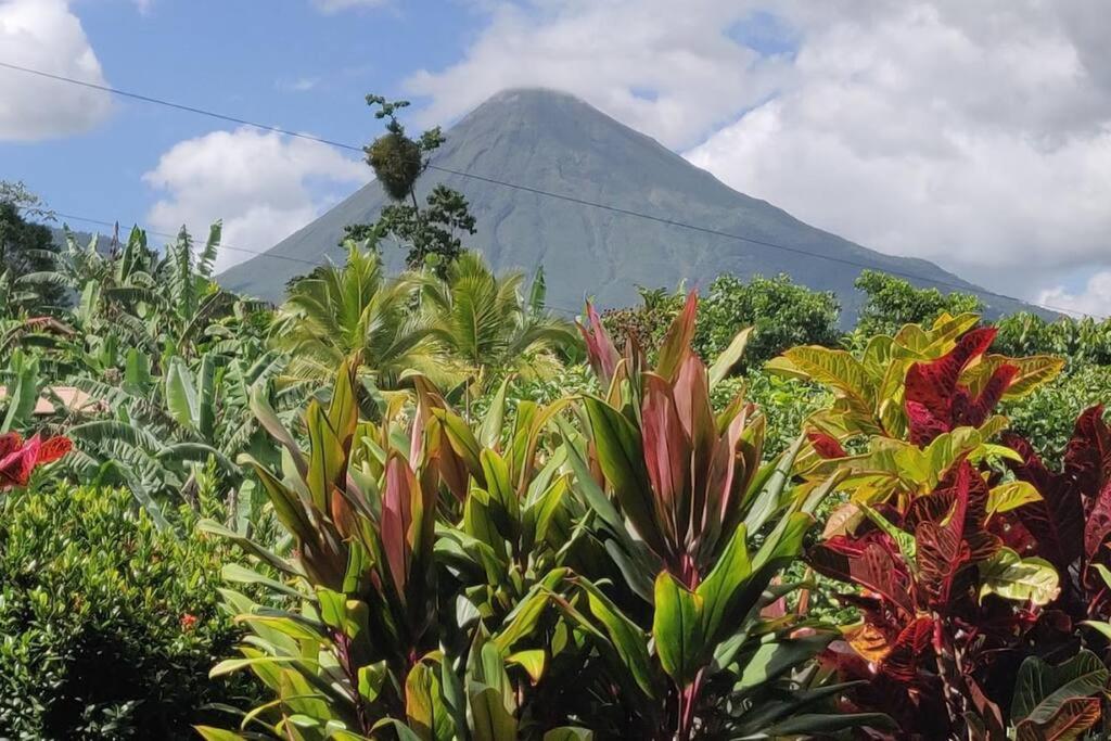 Volcano View Oasis Arenal