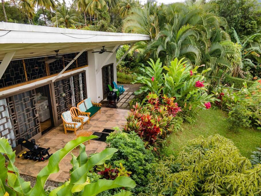 Volcano View Oasis Arenal