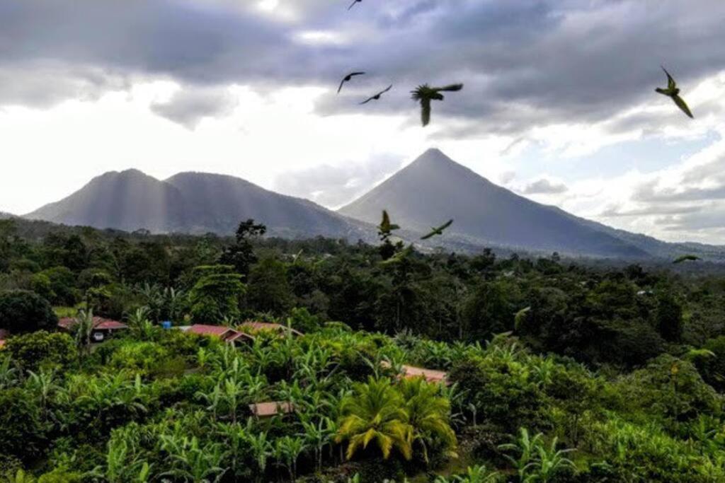 Volcano View Oasis Arenal