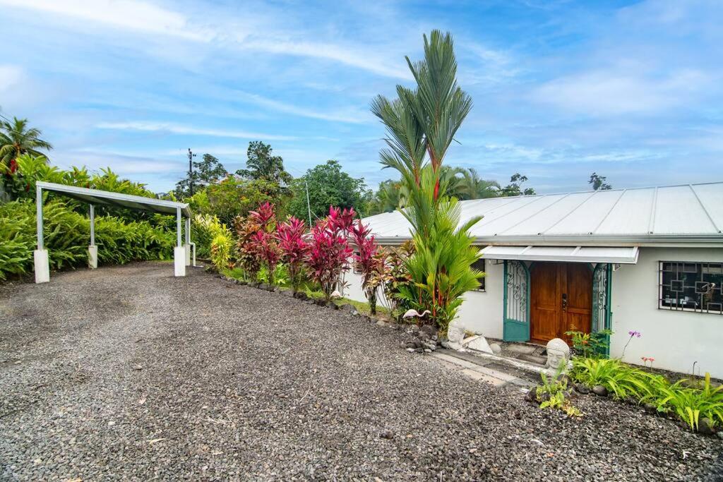 Volcano View Oasis Arenal