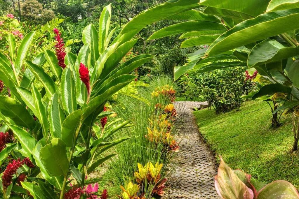 Volcano View Oasis Arenal