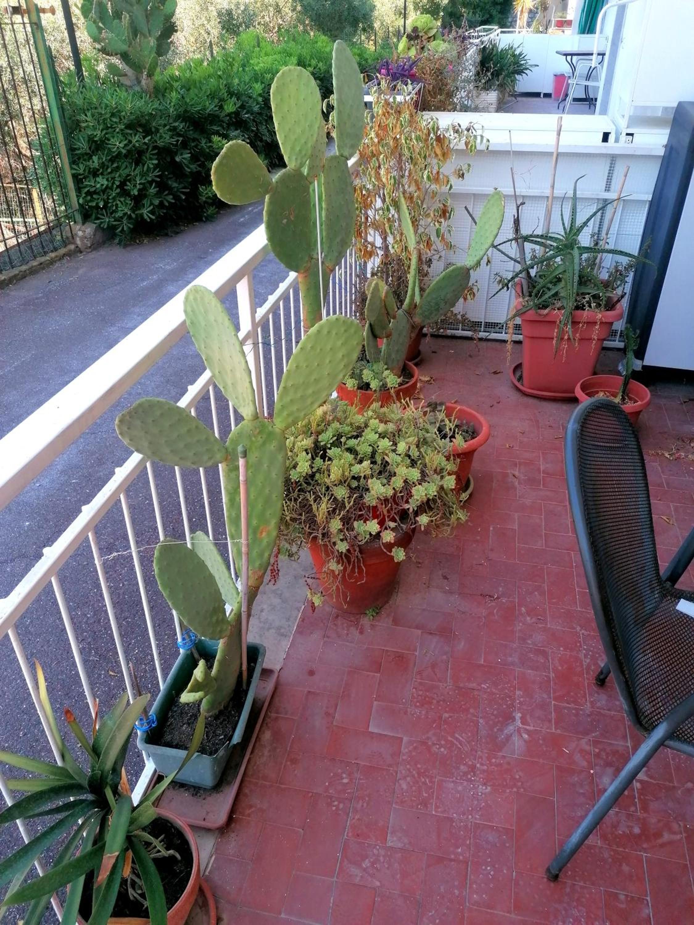 Photo 38
