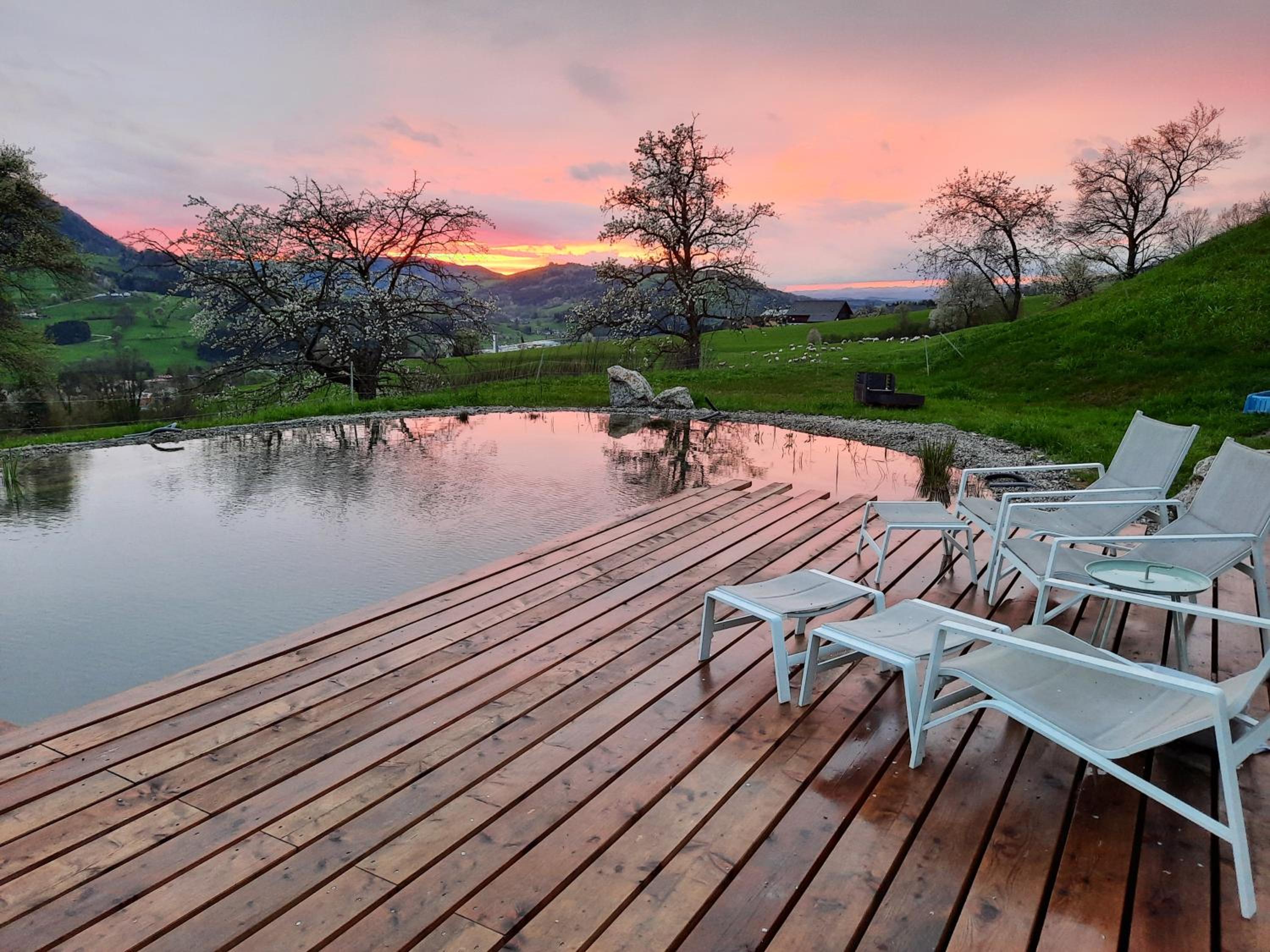 Loftartige Wohnung in Scheibbs mit Schwimmteich