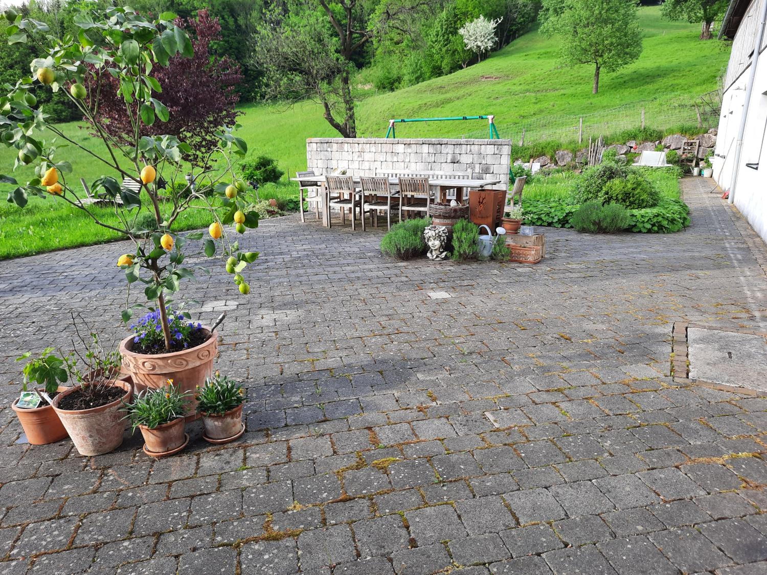 Loftartige Wohnung in Scheibbs mit Schwimmteich