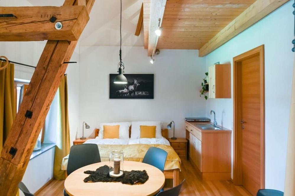 Loftartige Wohnung in Scheibbs mit Schwimmteich