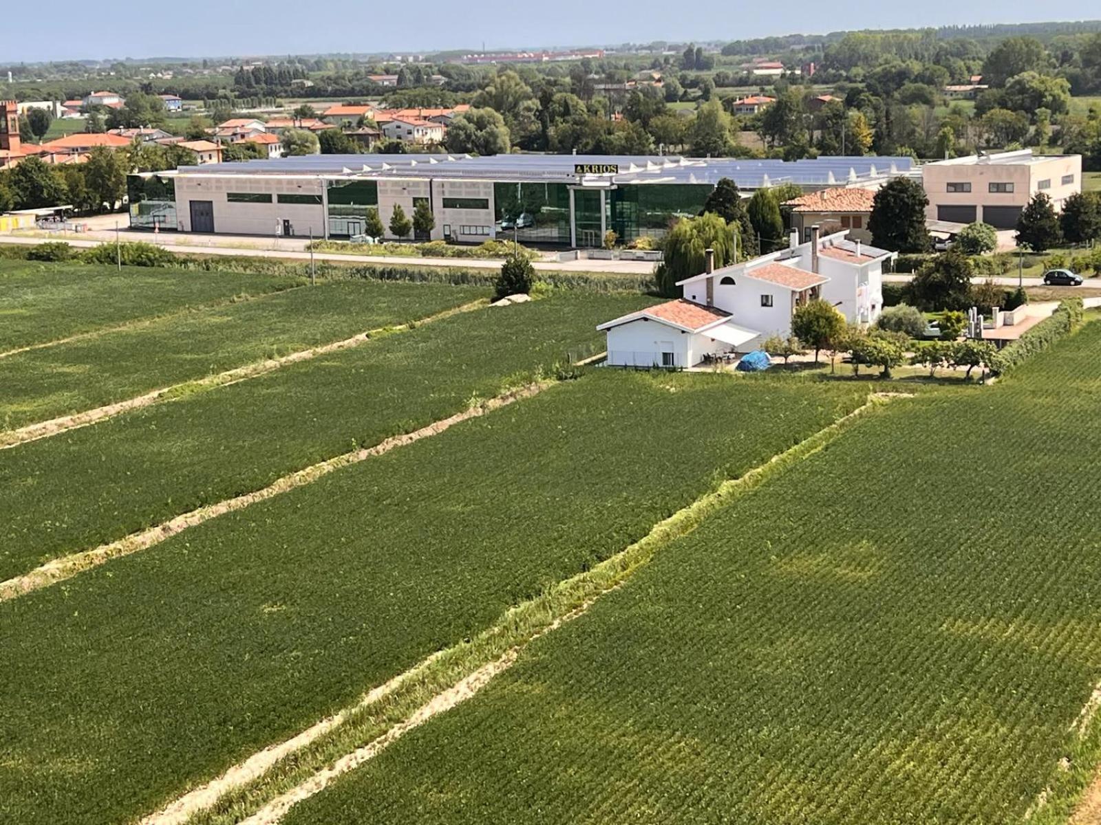 La casa di Igni