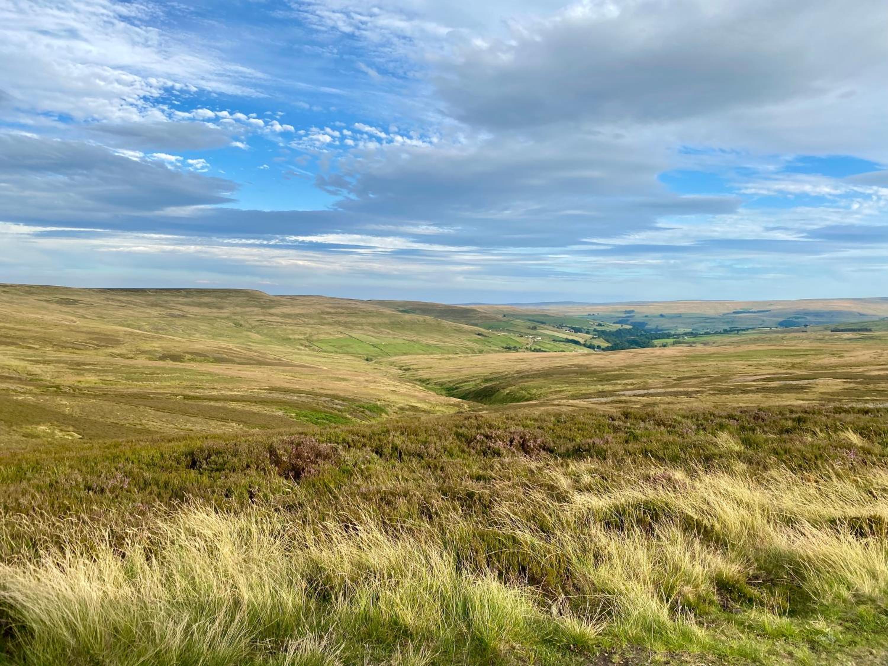 Weardale Cottage view 3