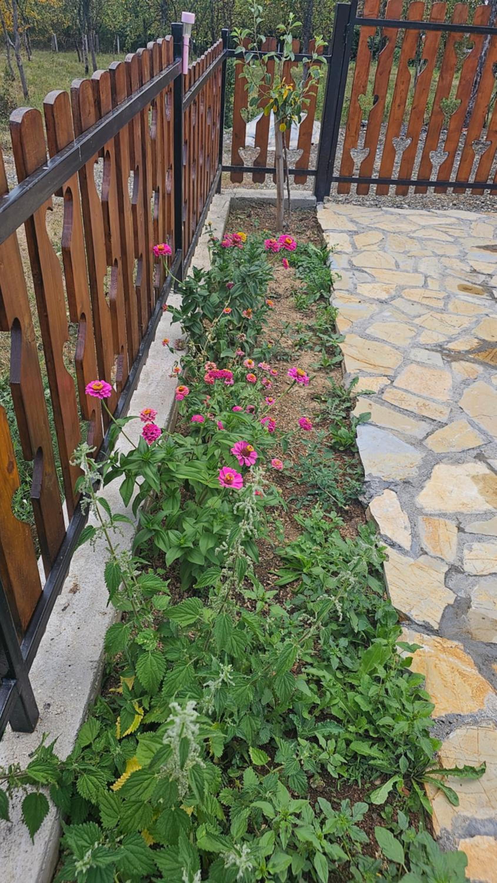 Photo 49