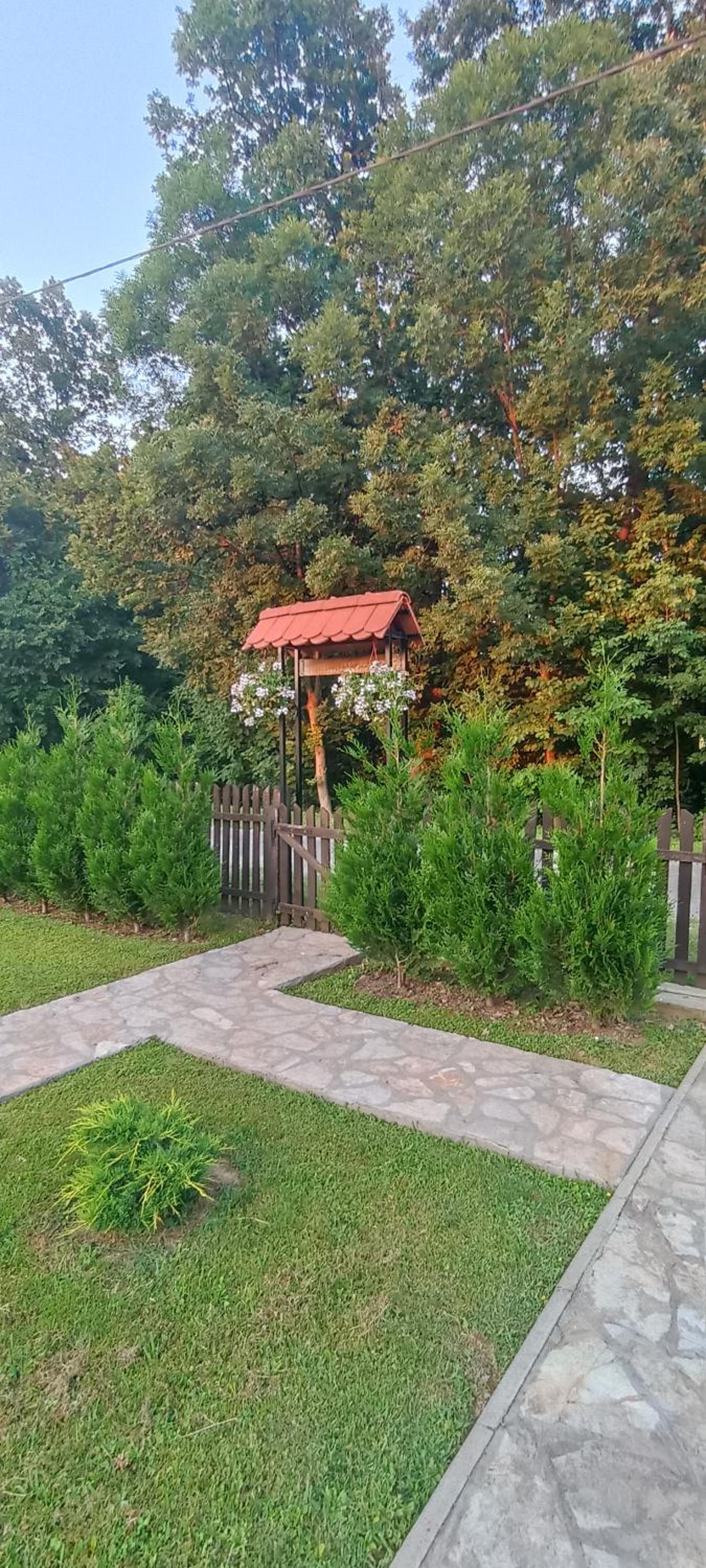 Photo 33