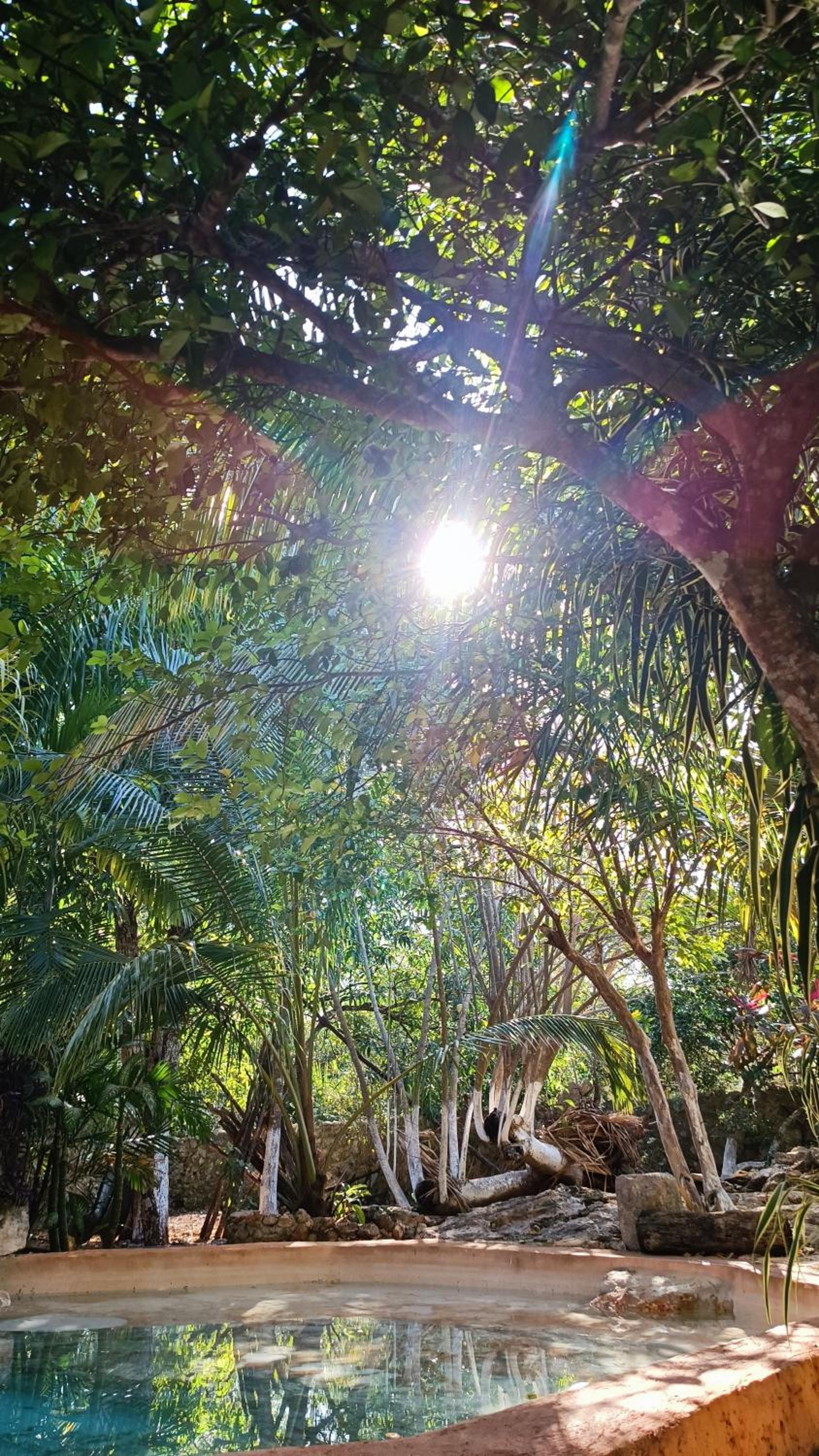 La casa de piedra y colores en Chichén Itzá, photo 51
