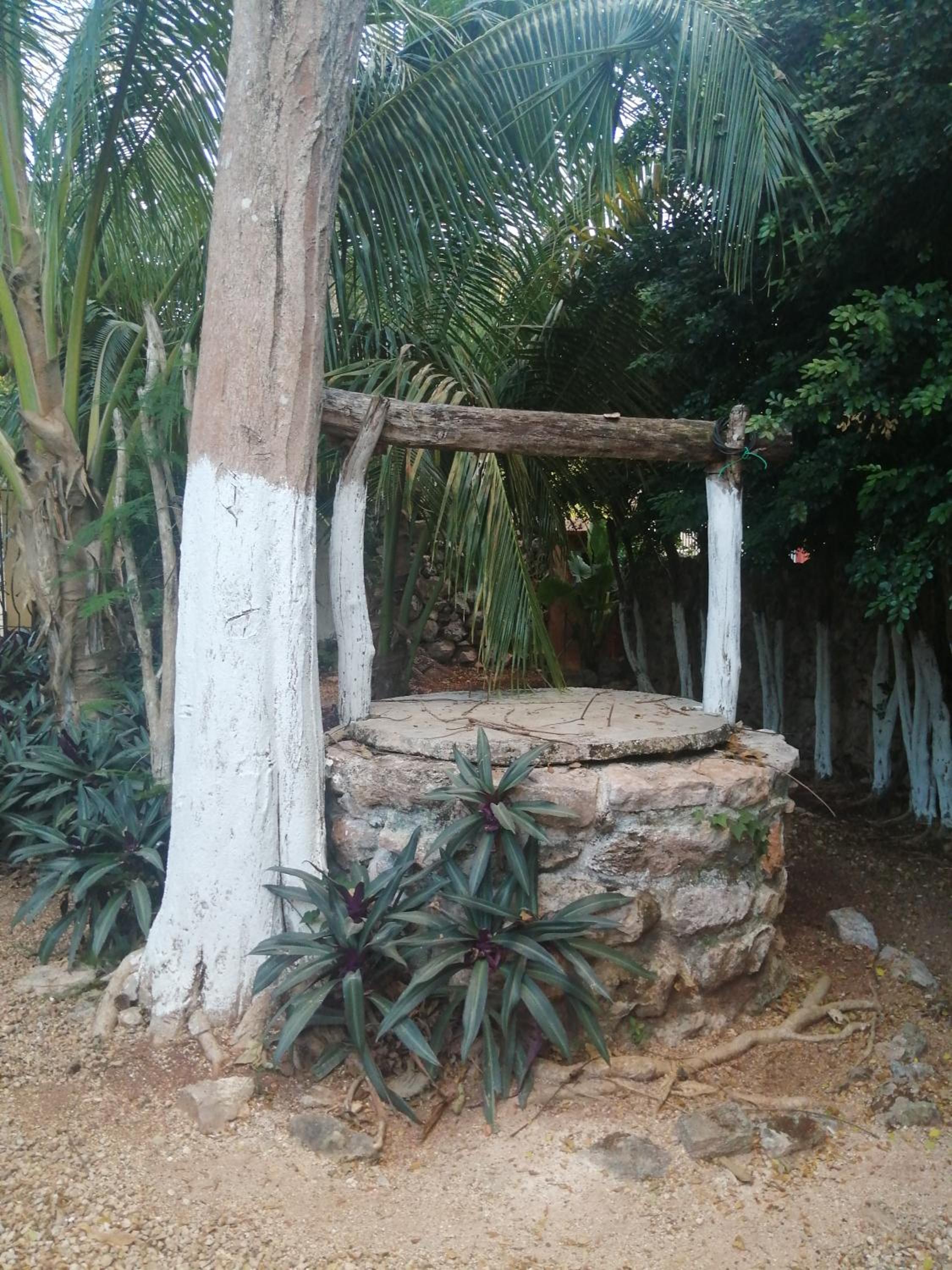 La casa de piedra y colores en Chichén Itzá, photo 46