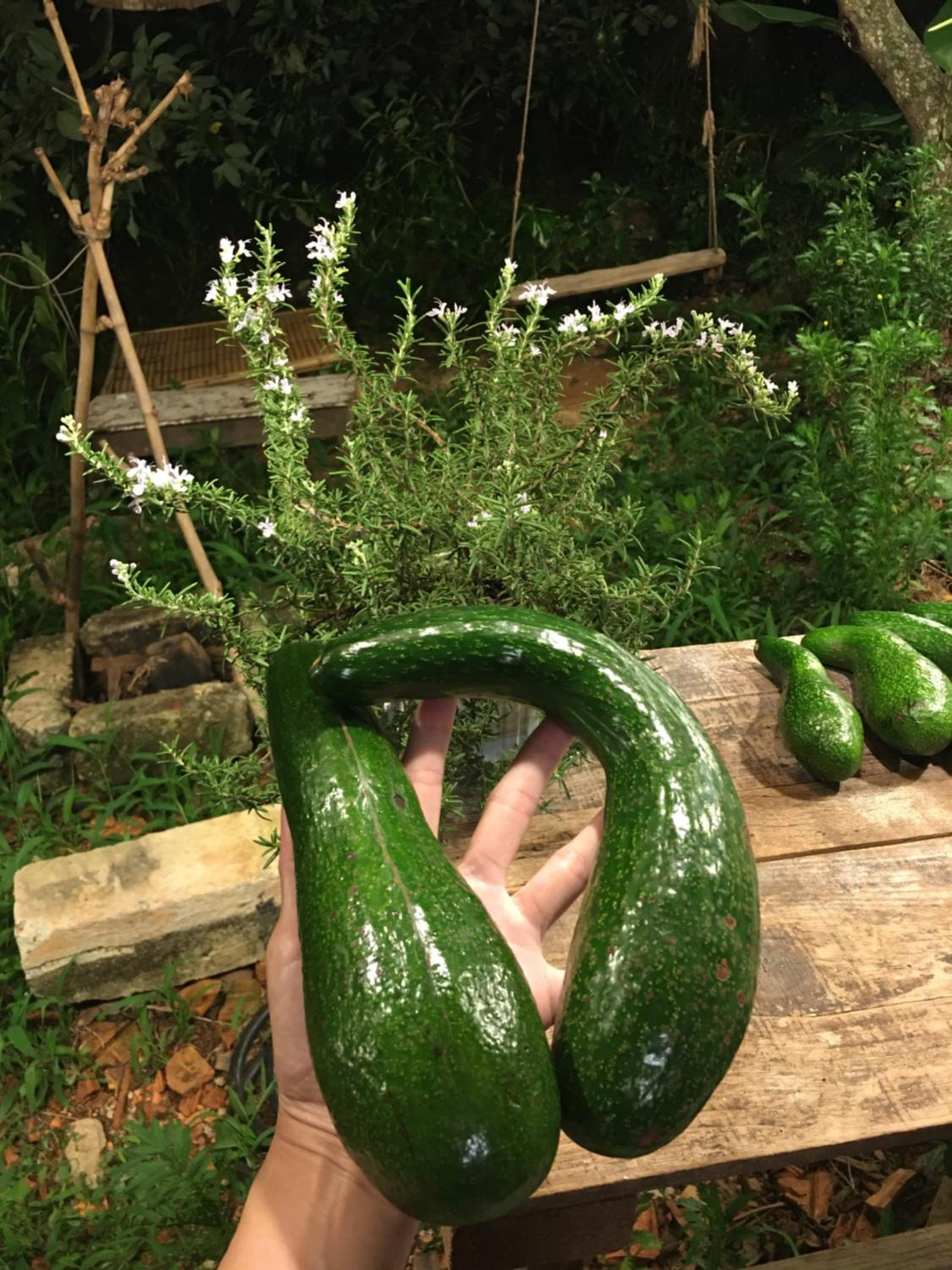 Photo 113