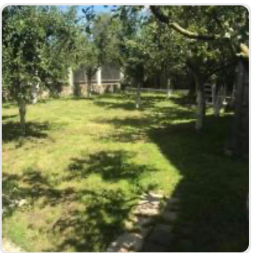 Casa Lazar