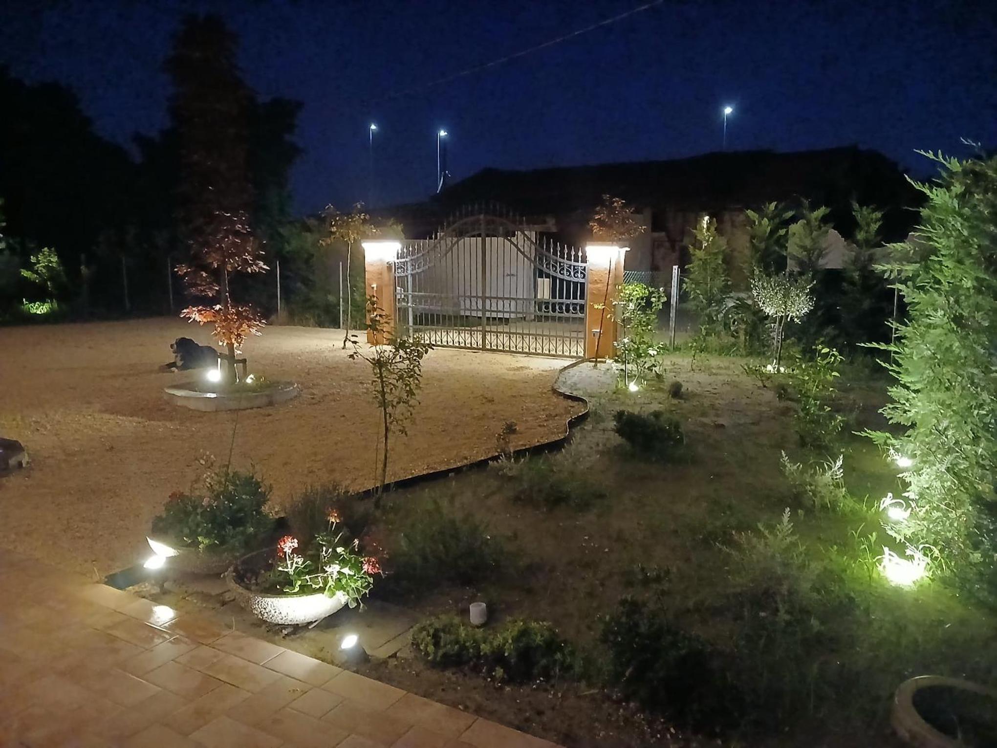 Photo 41