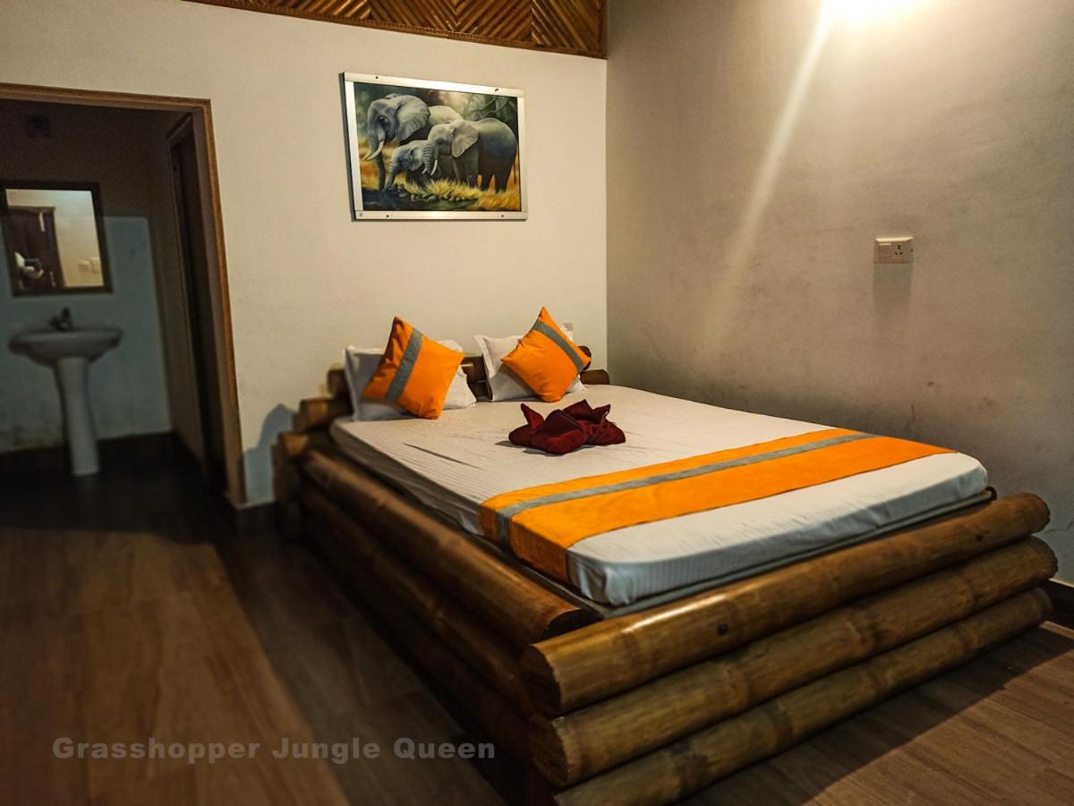 Grasshopper Jungle Queen Resort