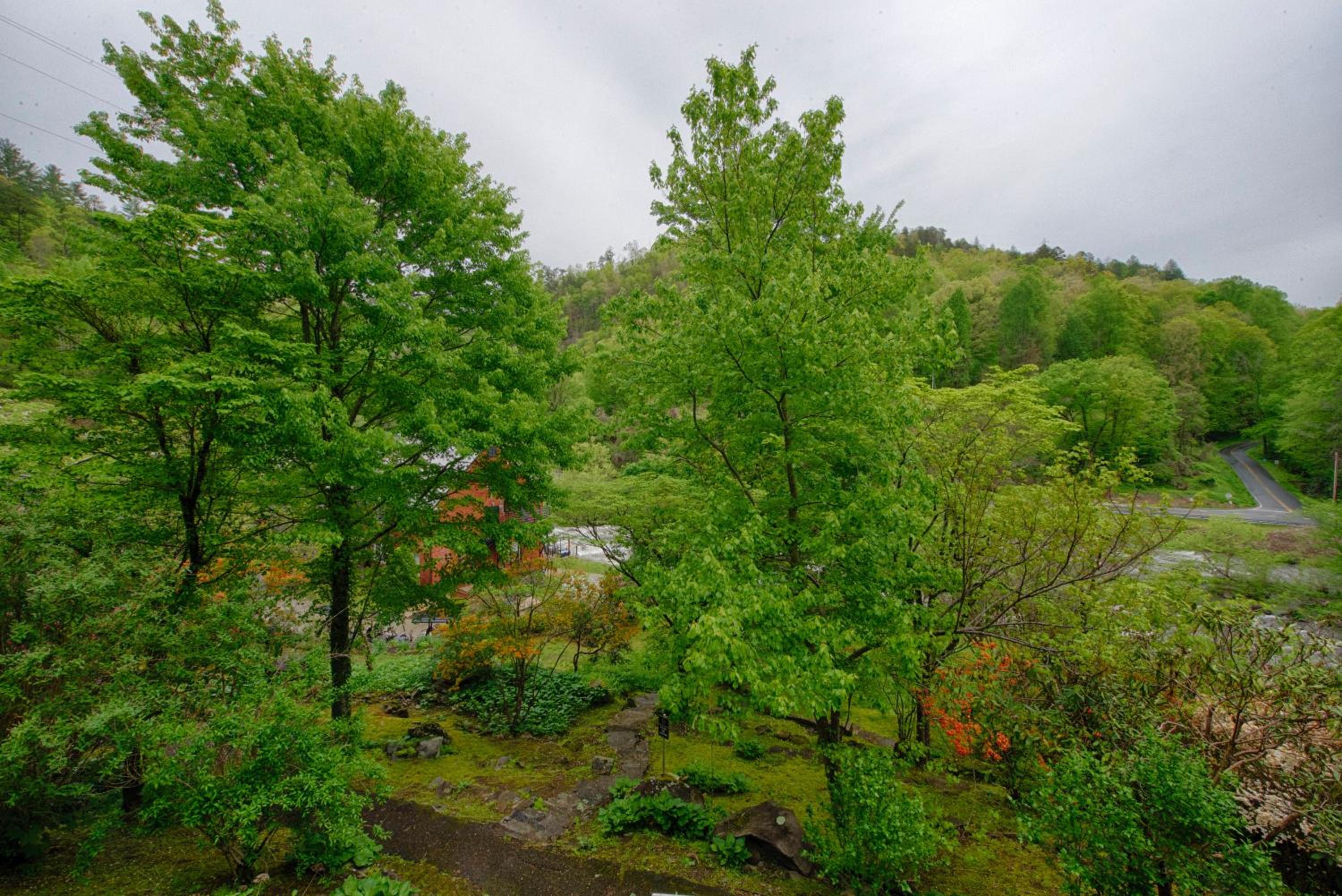 Historic Tapoco Lodge Resort