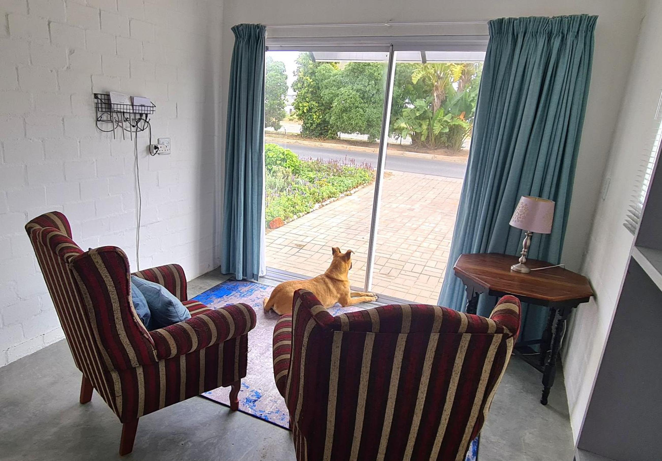 Starfish Cottage On Golden Mile view 4