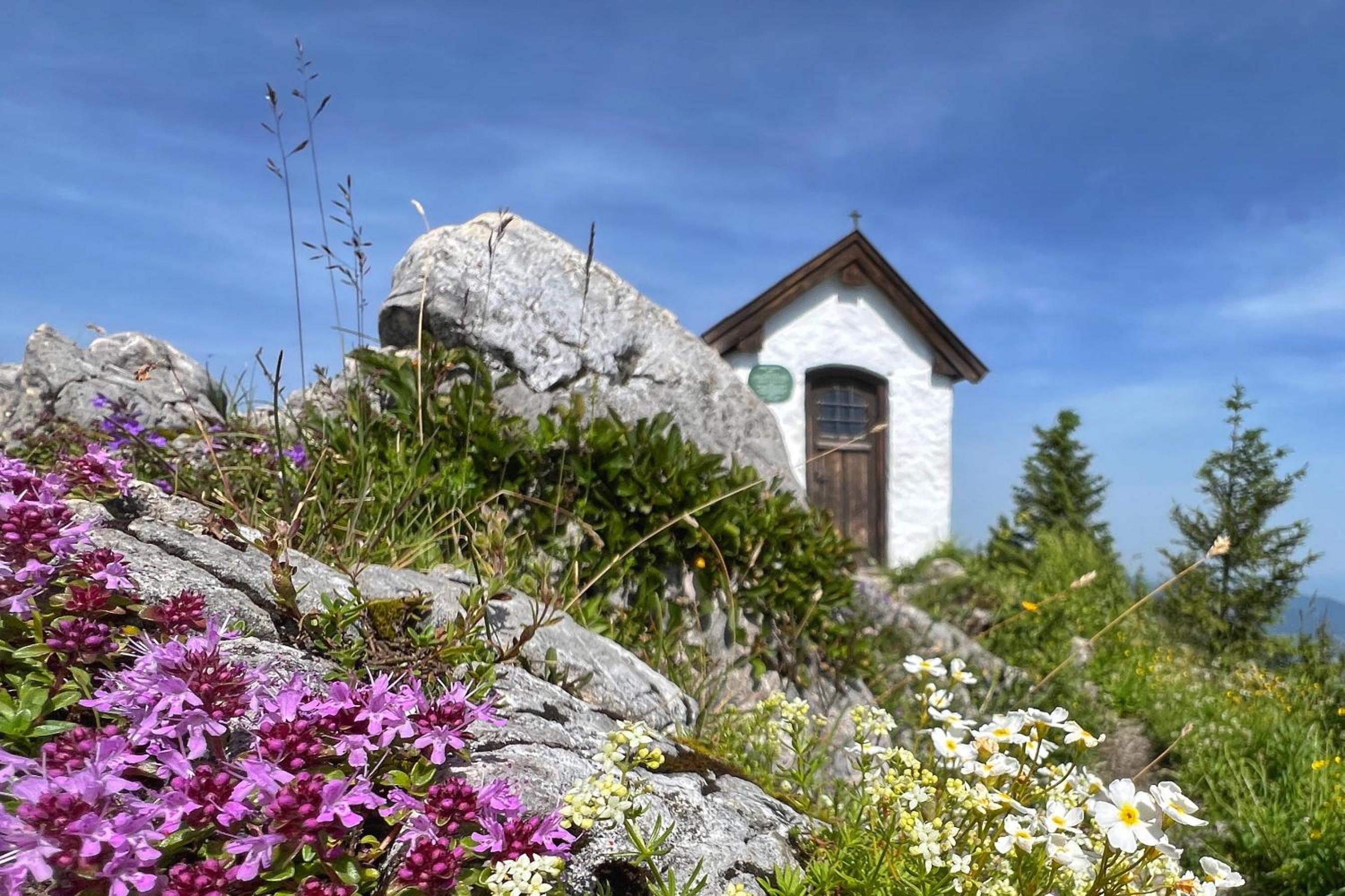 Ferienhaus Bachperle - Alpenidyll mit Kamin, Balkon oder Terrasse für Genießer