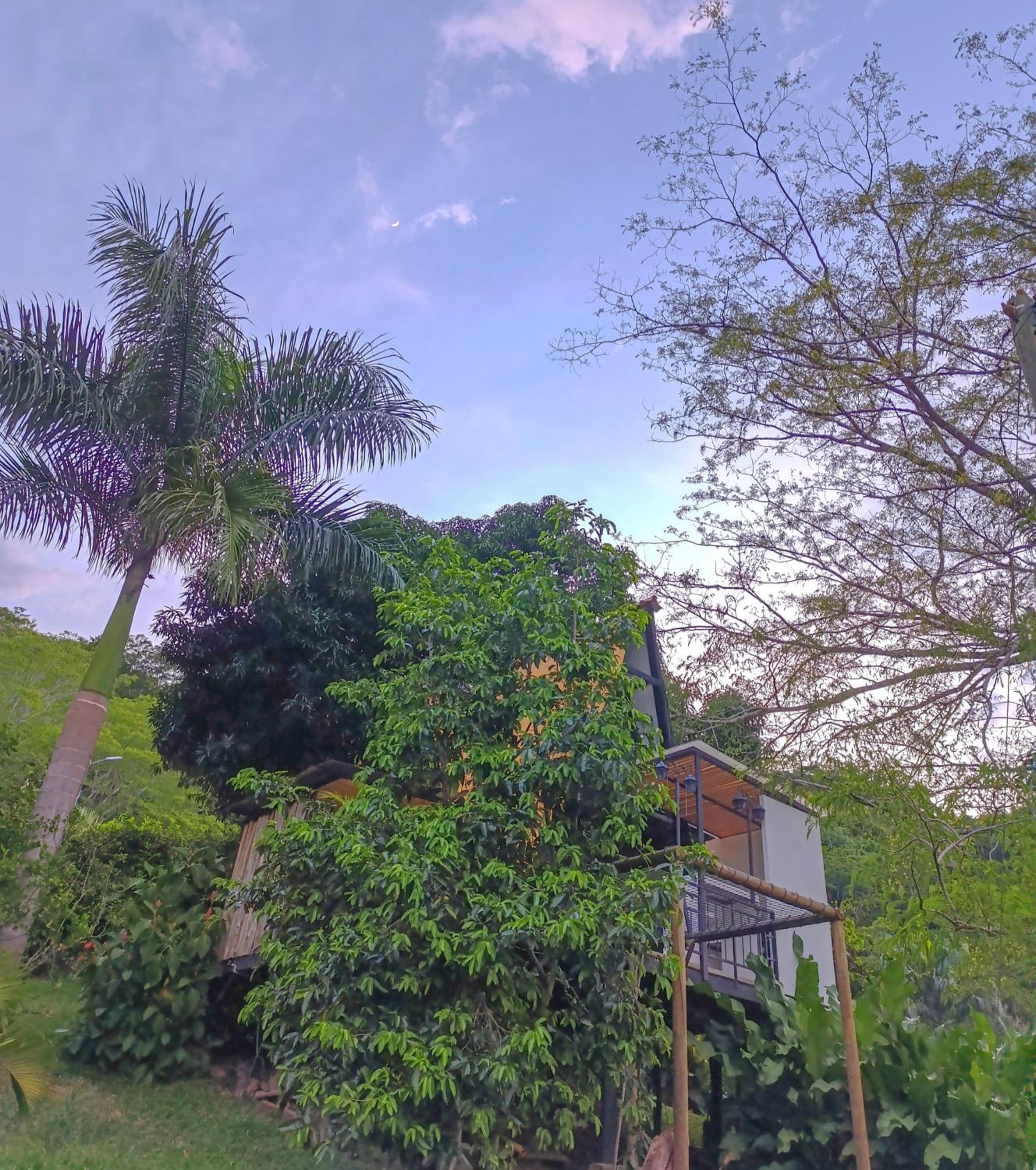 Glamping Villa Guadalupe
