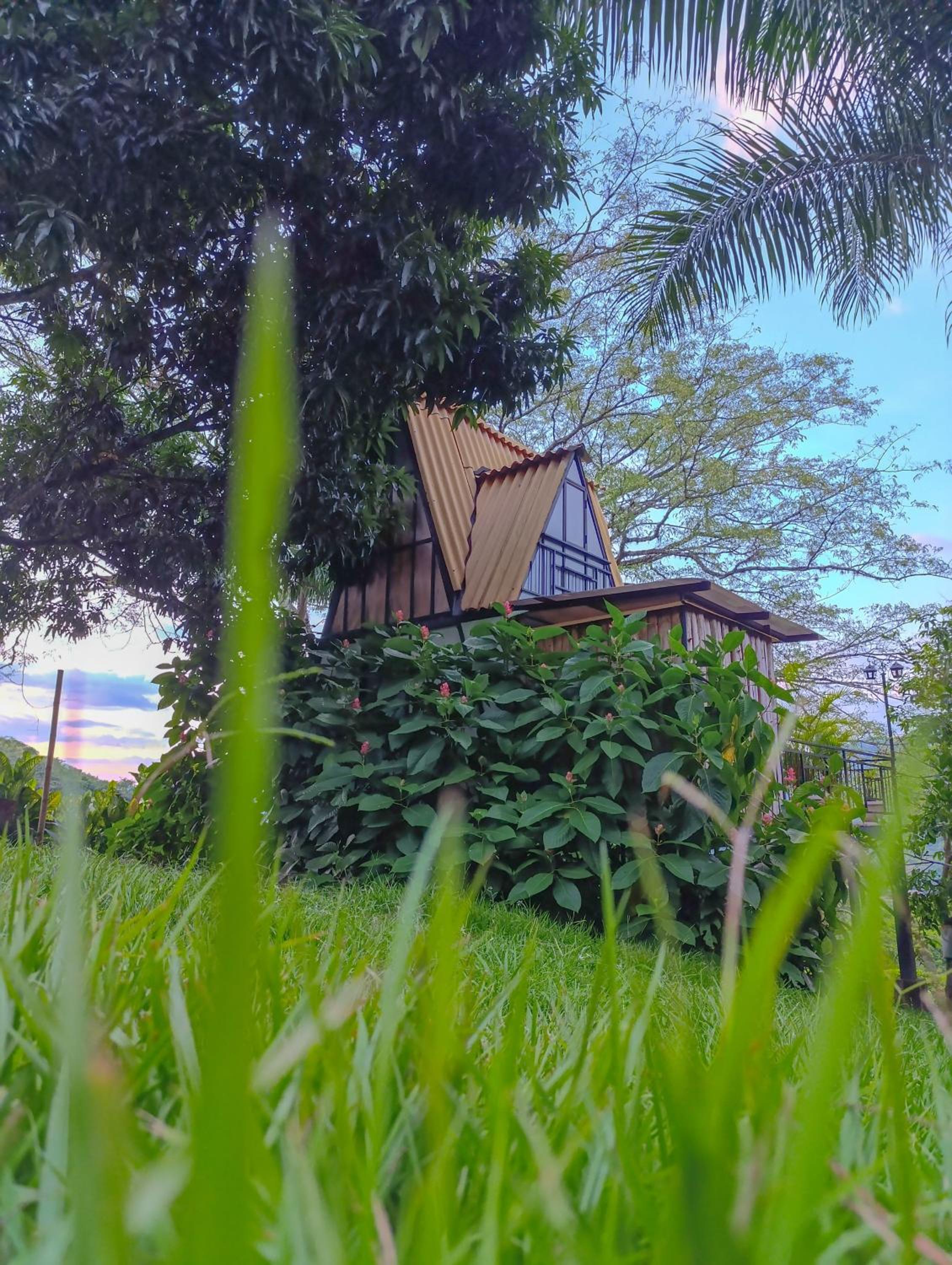 Glamping Villa Guadalupe