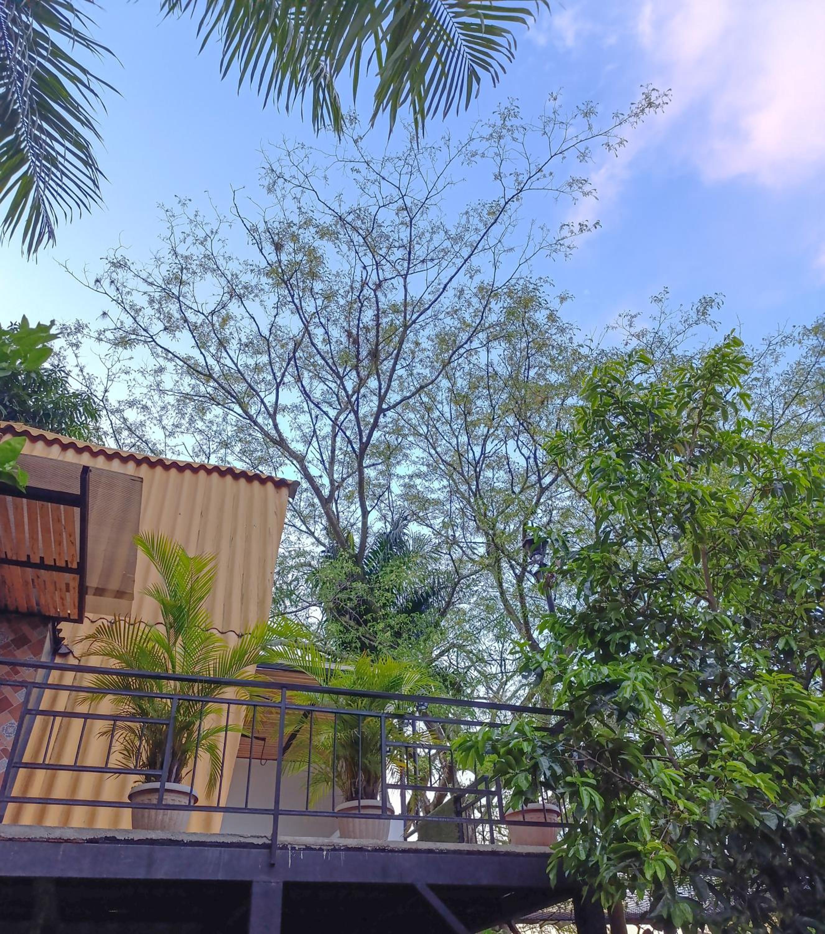 Glamping Villa Guadalupe
