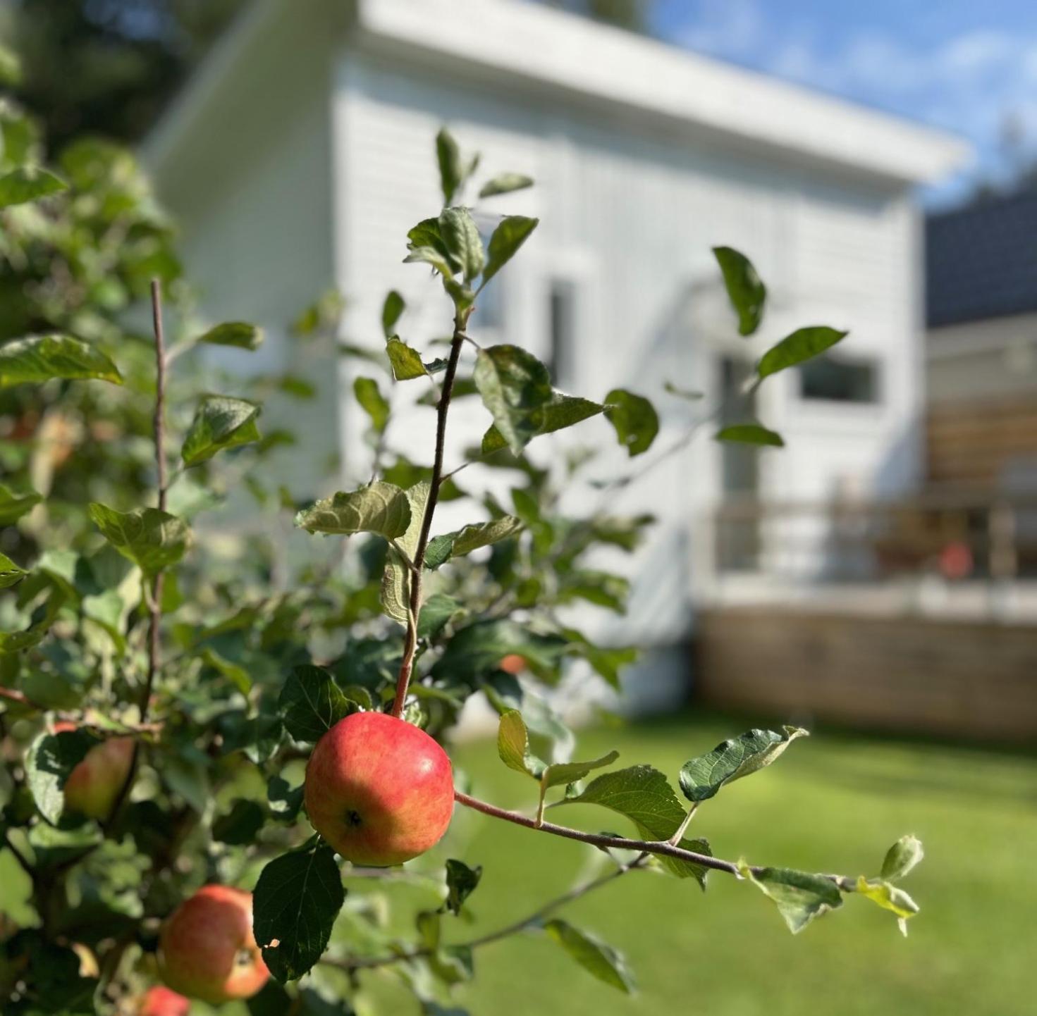 Lilla huset Bed & Breakfast - countryside guesthouse, free parking view 5