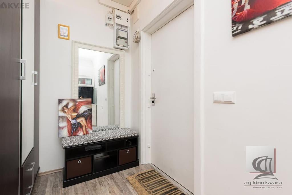 Cozy 1-bdroom apartment in the Centre, free parking view 4