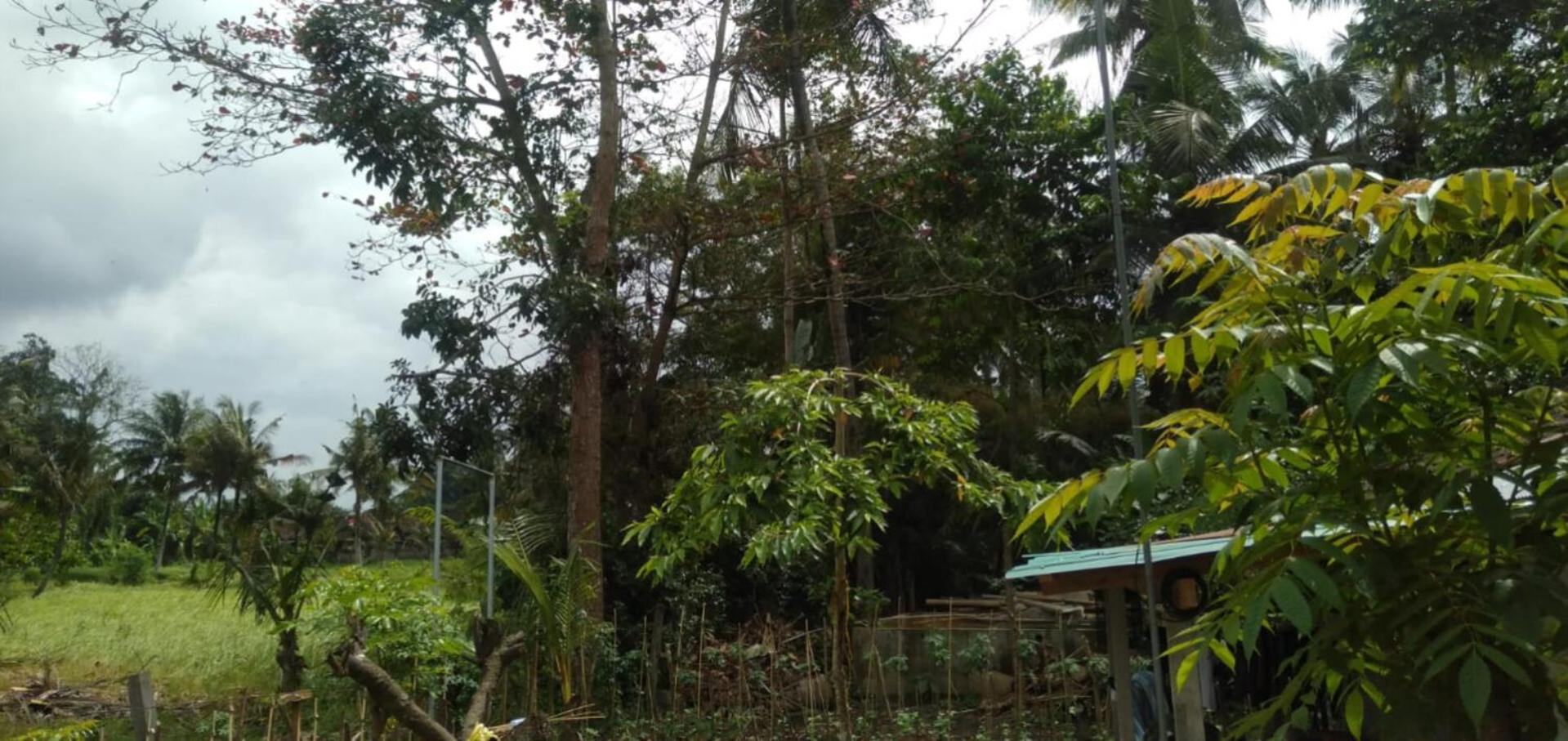 Cahyachaya House