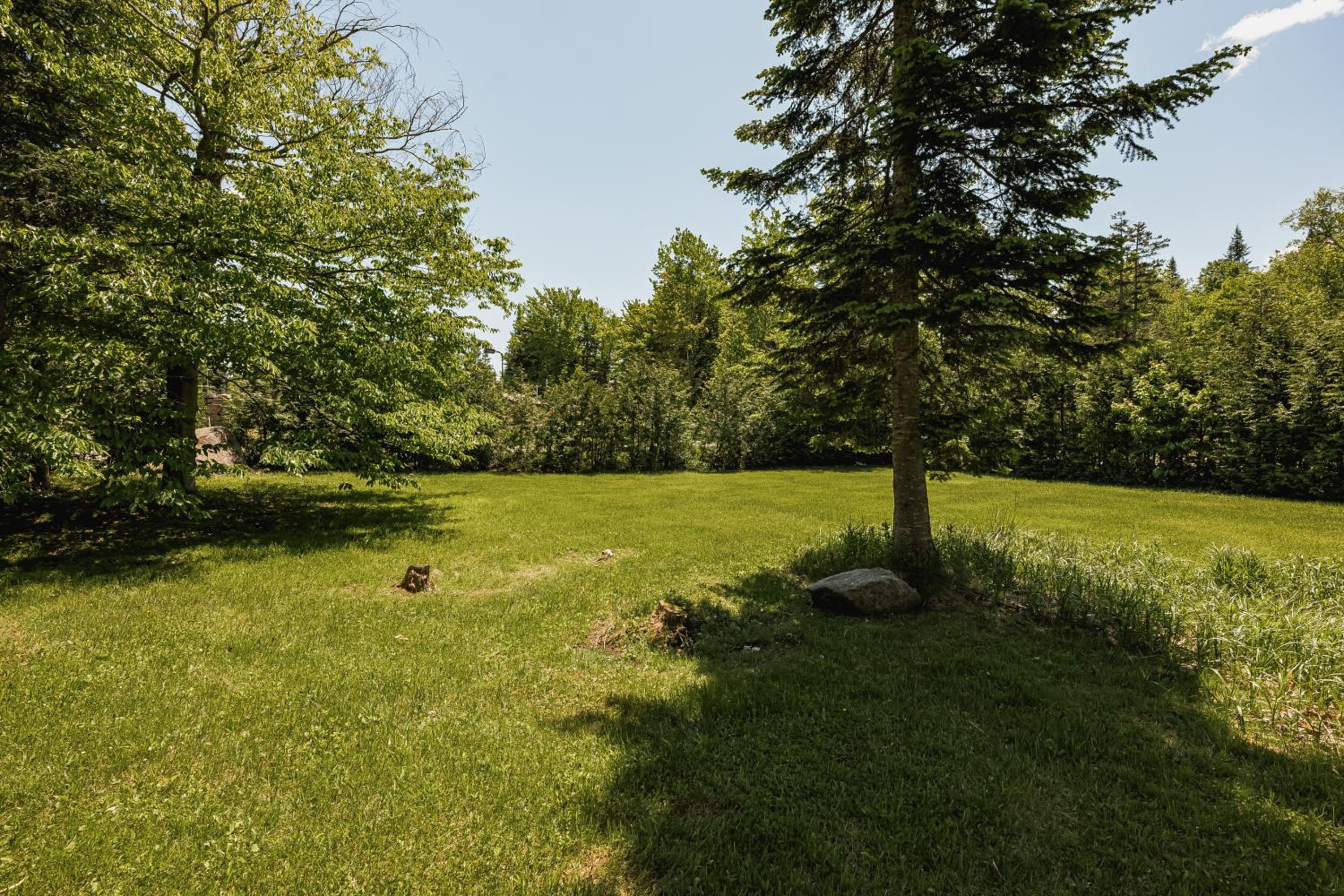 Fiddler Lake Resort - Deer 4