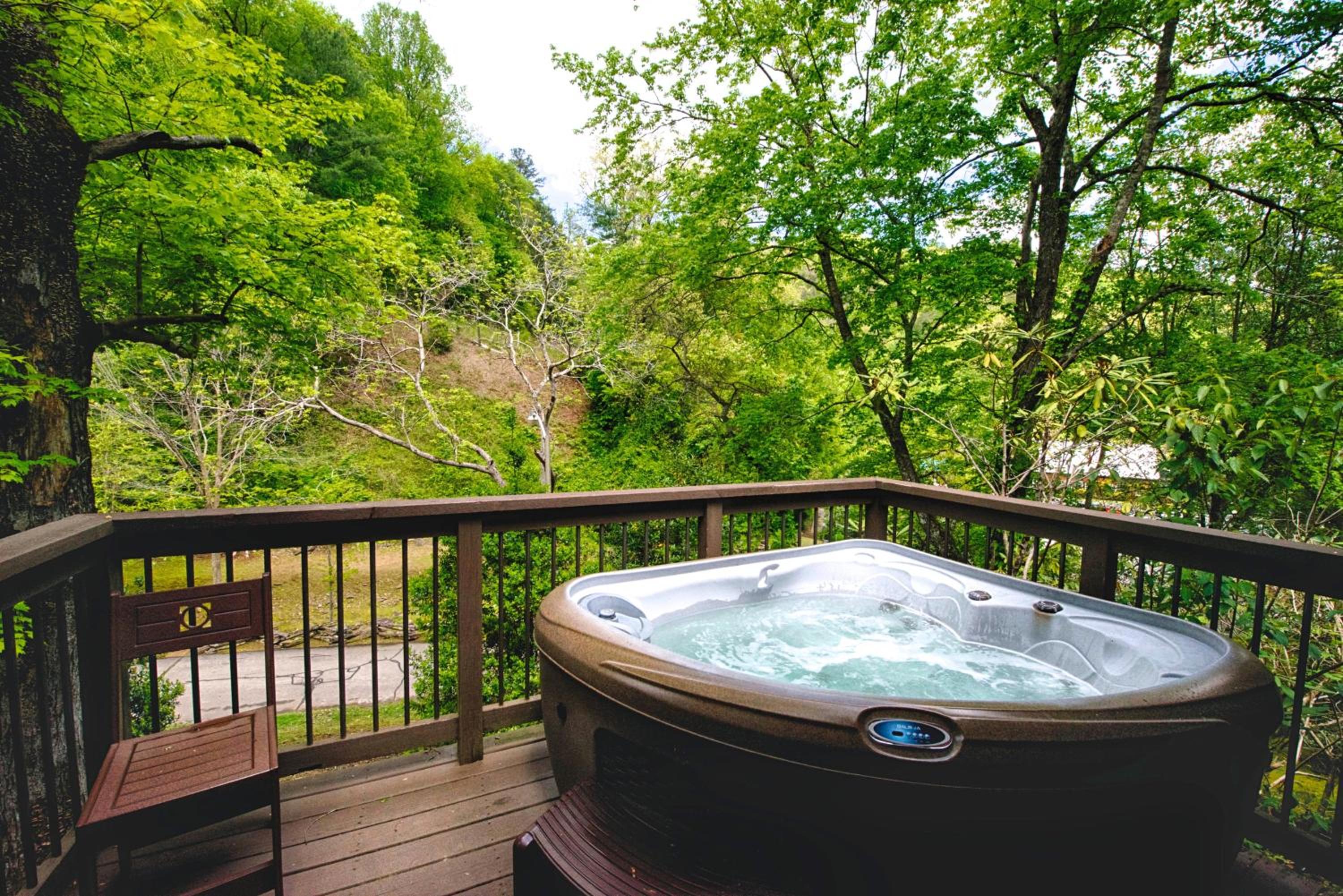 Historic Tapoco Lodge Resort