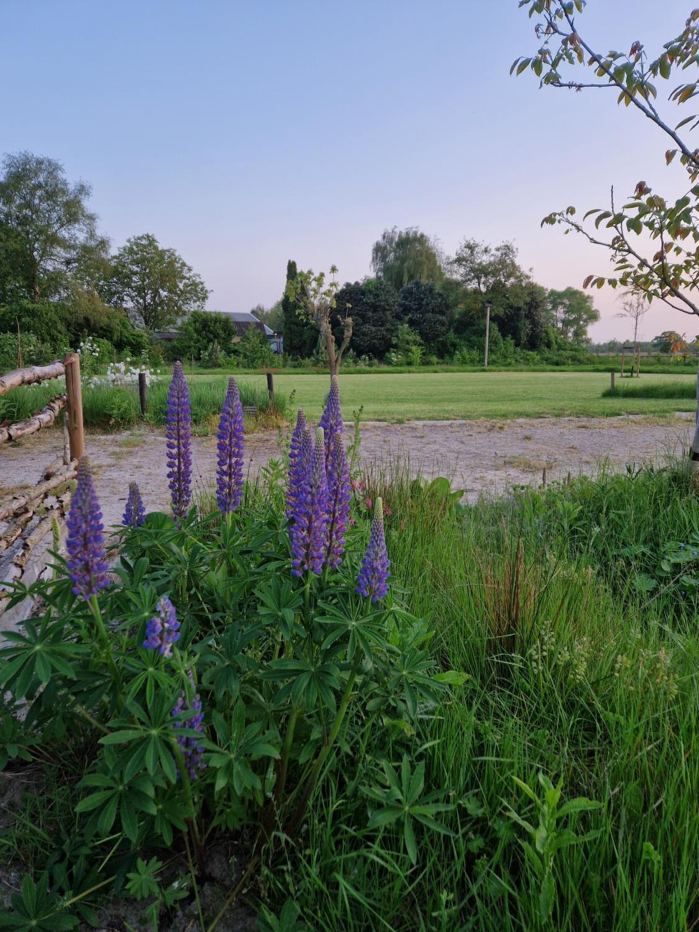 De Wilde Tuin - Tuinkamer