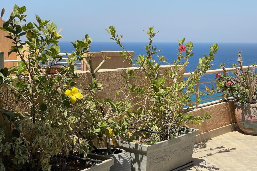 Ain Sokhna Vacations - Rooftop chalet in AinSokhnaTelal - Property Image 9