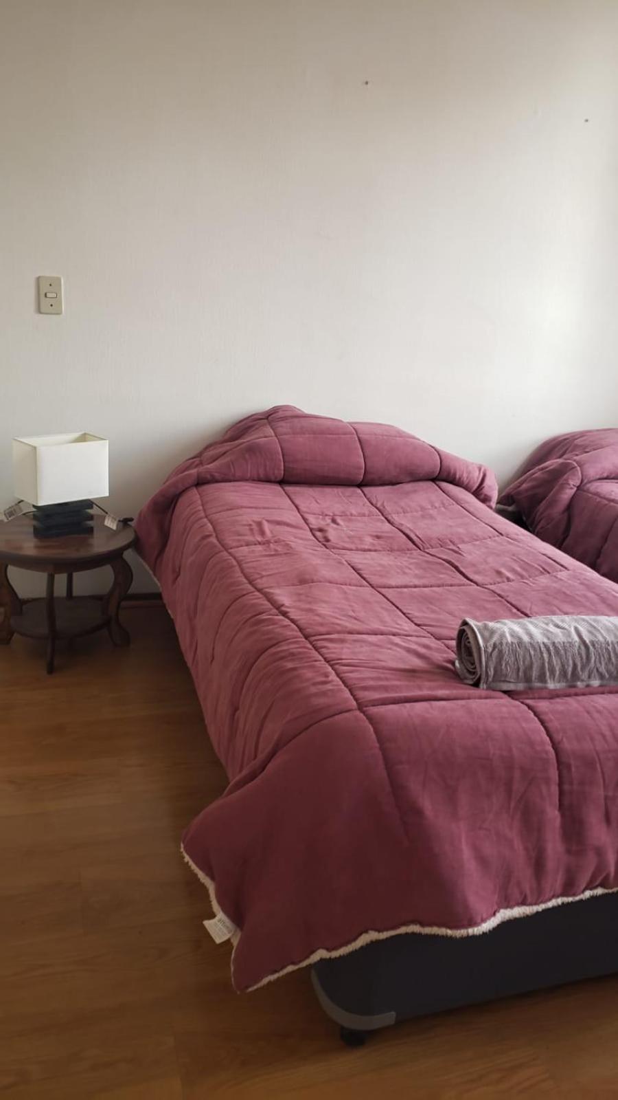Departamento Céntrico en Santiago