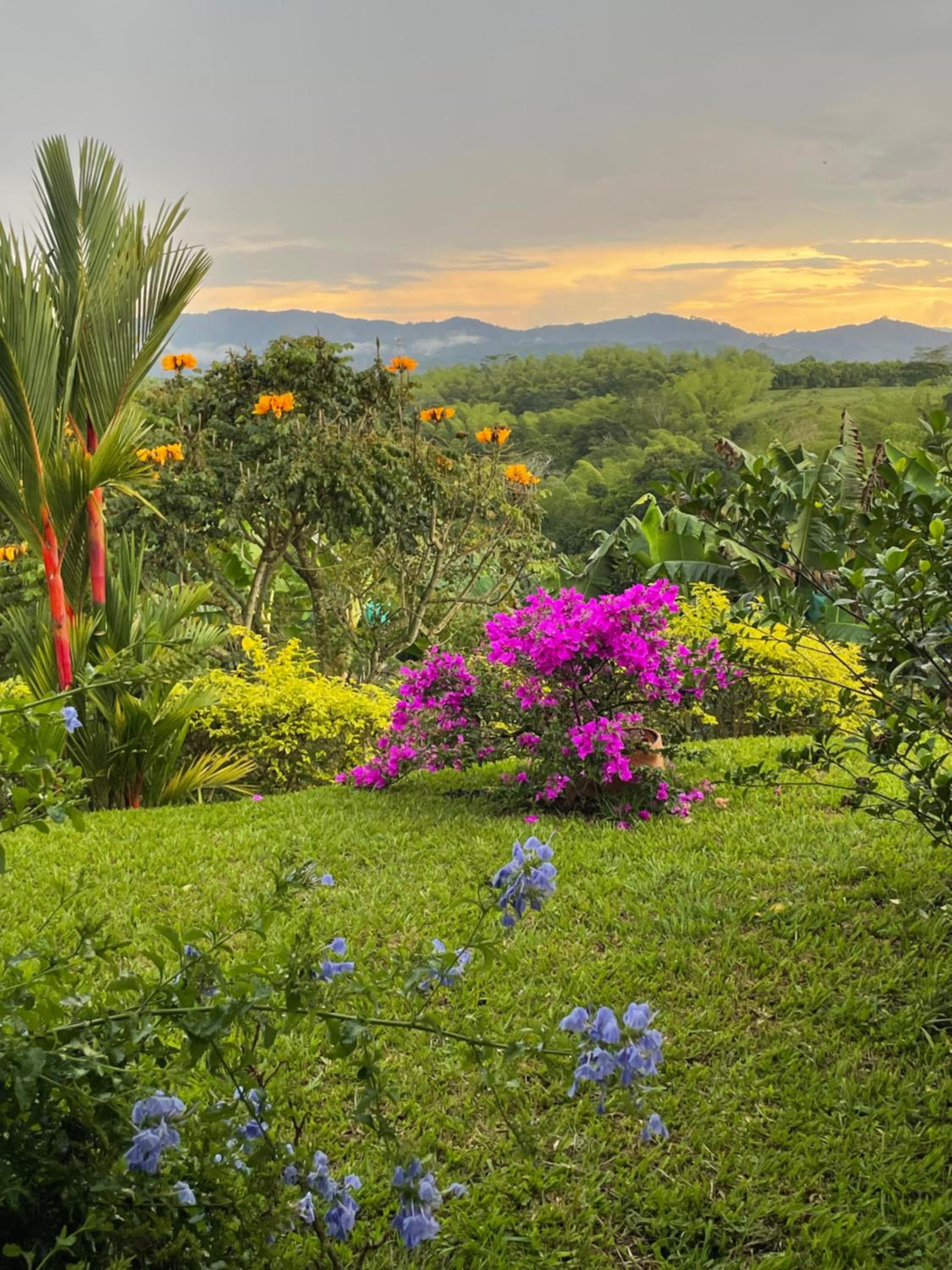 Hotel Boutique La Ceiba
